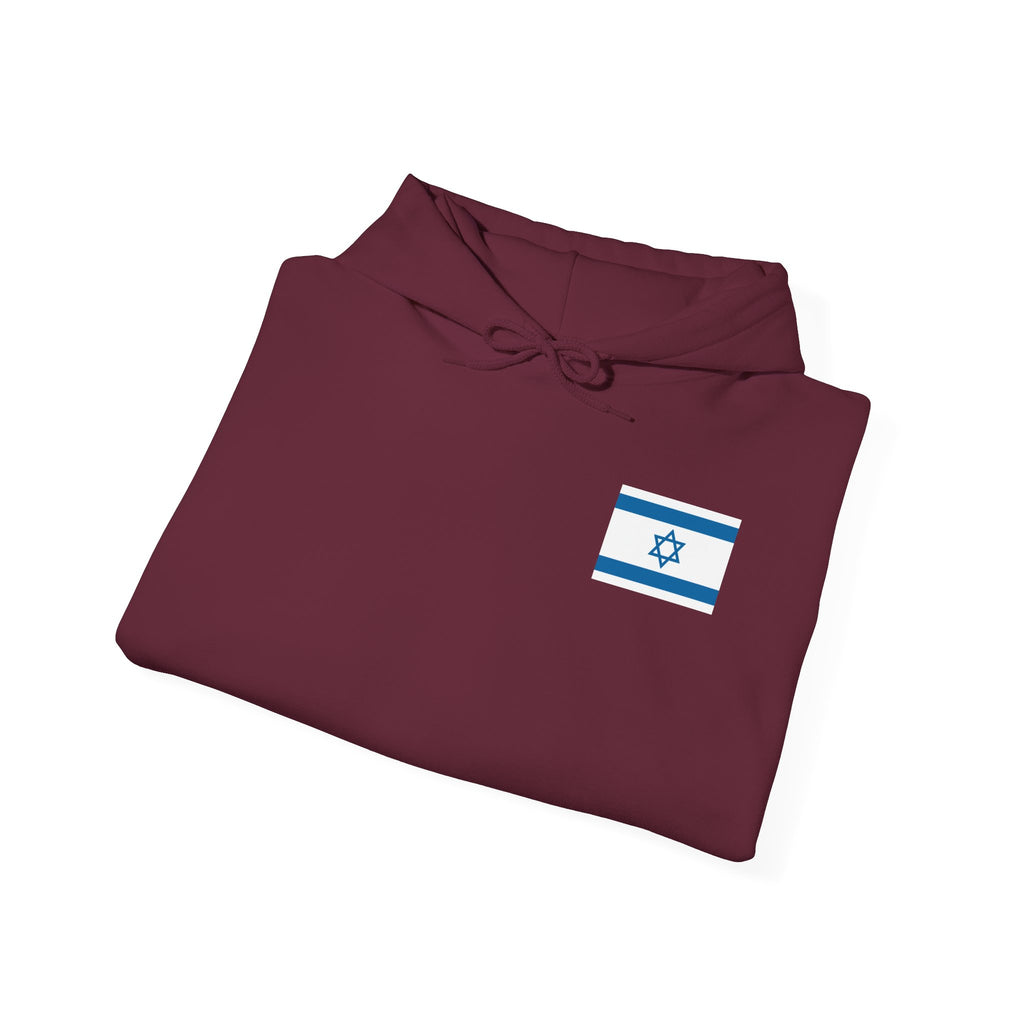 Isreal Flag And Map ~ Rebel Spirit Unisex Hoodie