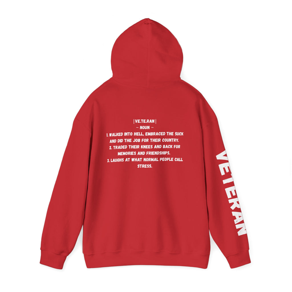 Veteran Patriotic Hoodie ~ Rebel Spirit Unisex Hoodie
