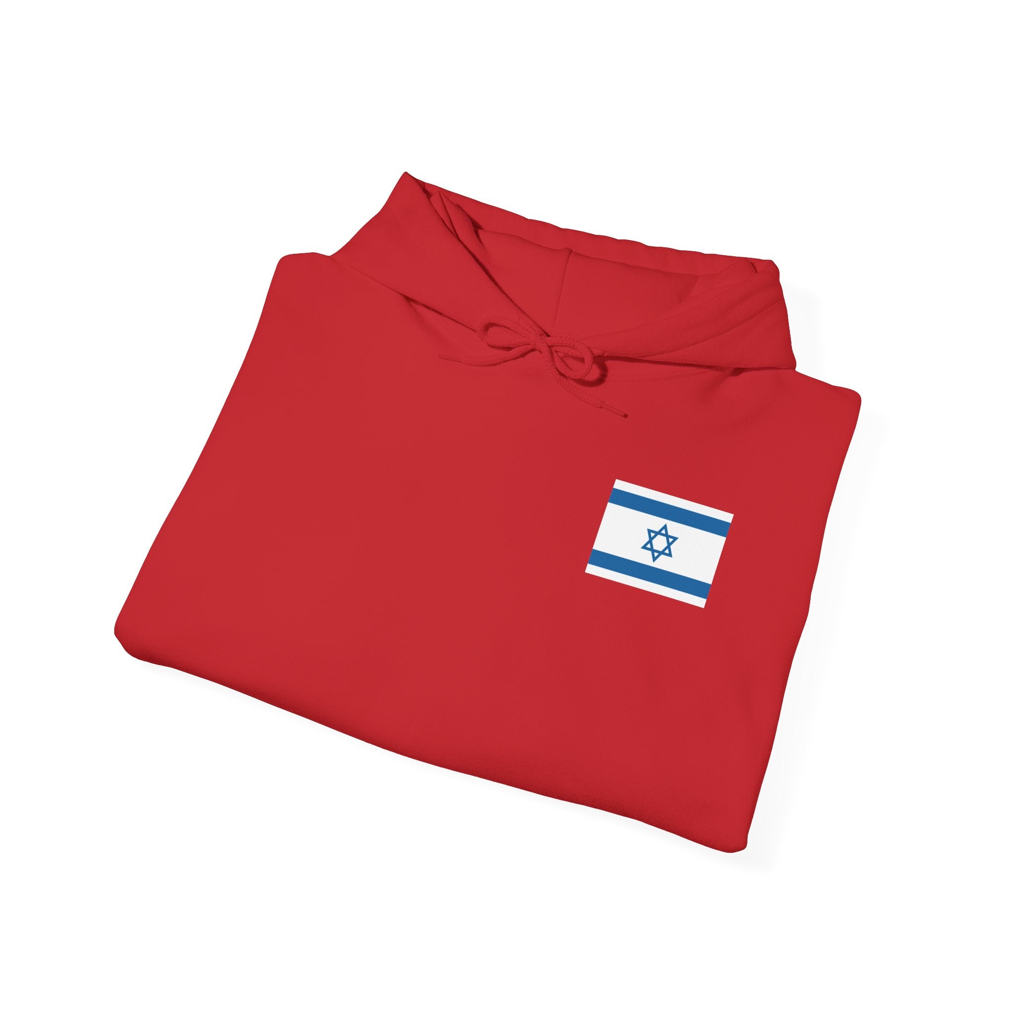 Isreal Flag And Map ~ Rebel Spirit Unisex Hoodie