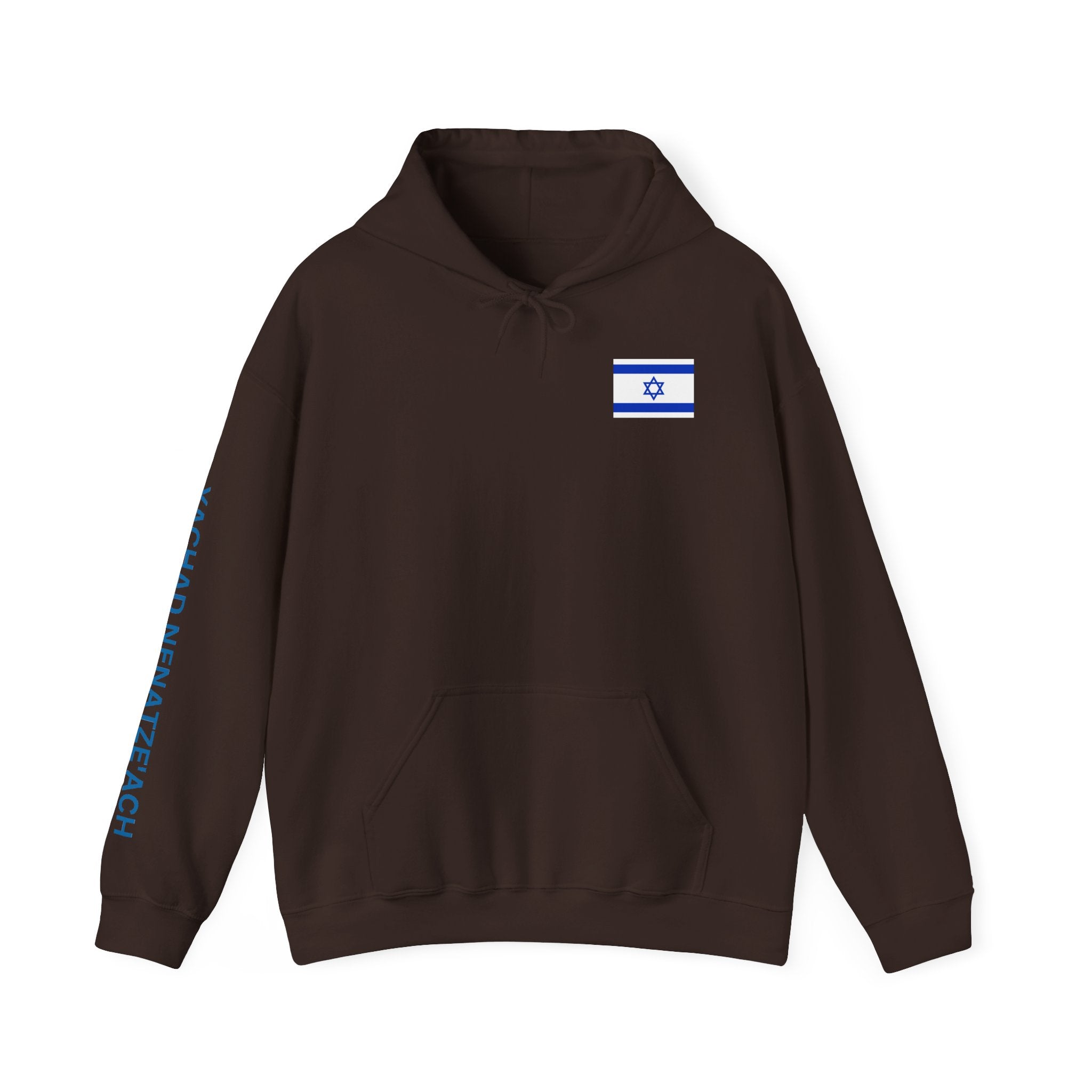 Stand With Isreal ~ Rebel Spirit Unisex Hoodie