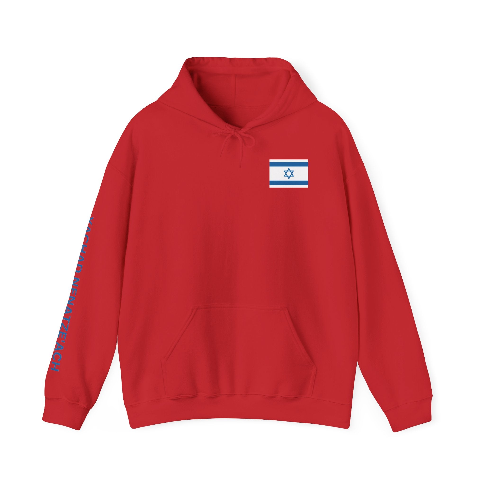 Isreal Flag And Map ~ Rebel Spirit Unisex Hoodie
