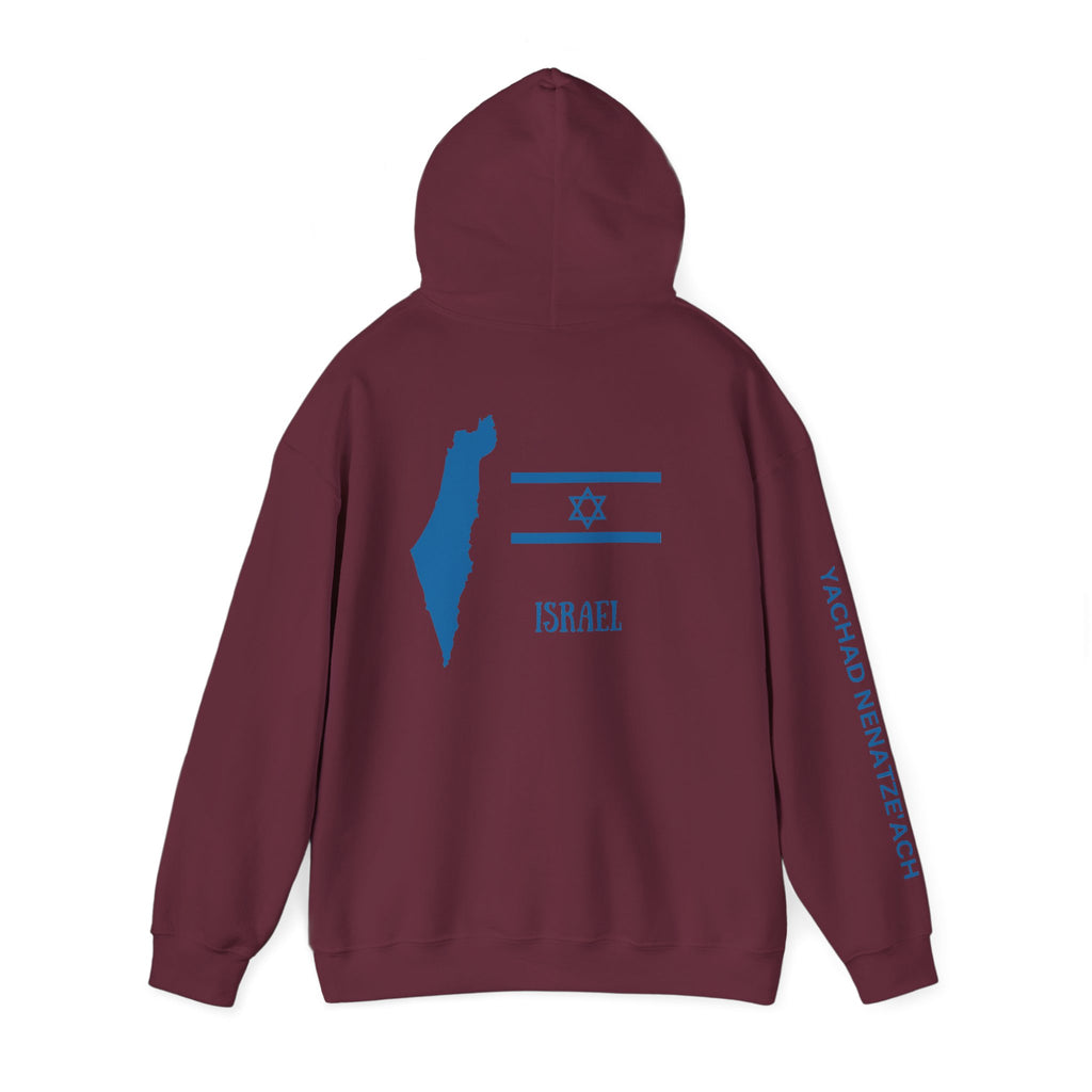 Isreal Flag And Map ~ Rebel Spirit Unisex Hoodie