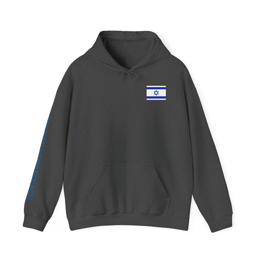 Stand With Isreal ~ Rebel Spirit Unisex Hoodie