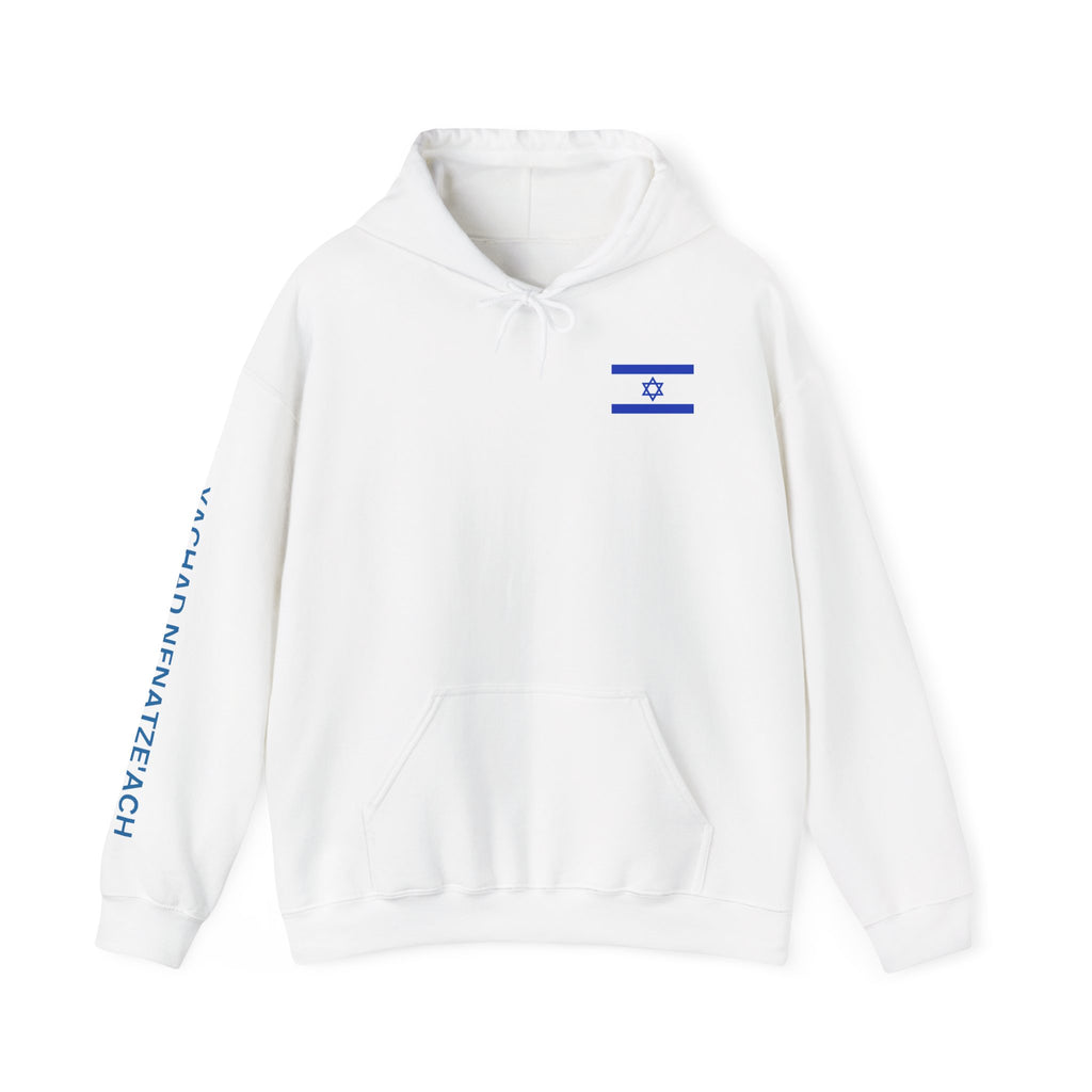 Stand With Isreal ~ Rebel Spirit Unisex Hoodie