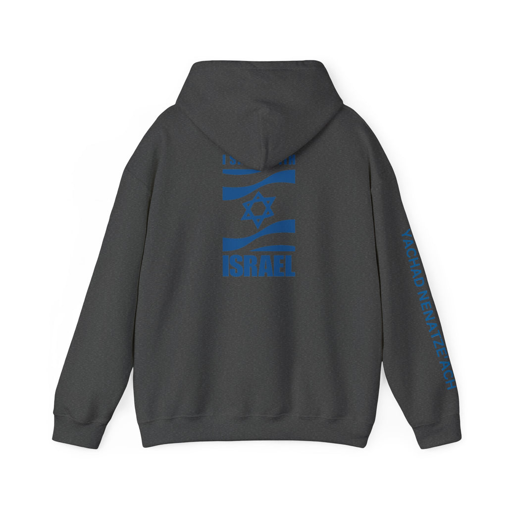 I Stand With Isreal ~ Rebel Spirit Unisex Hoodie