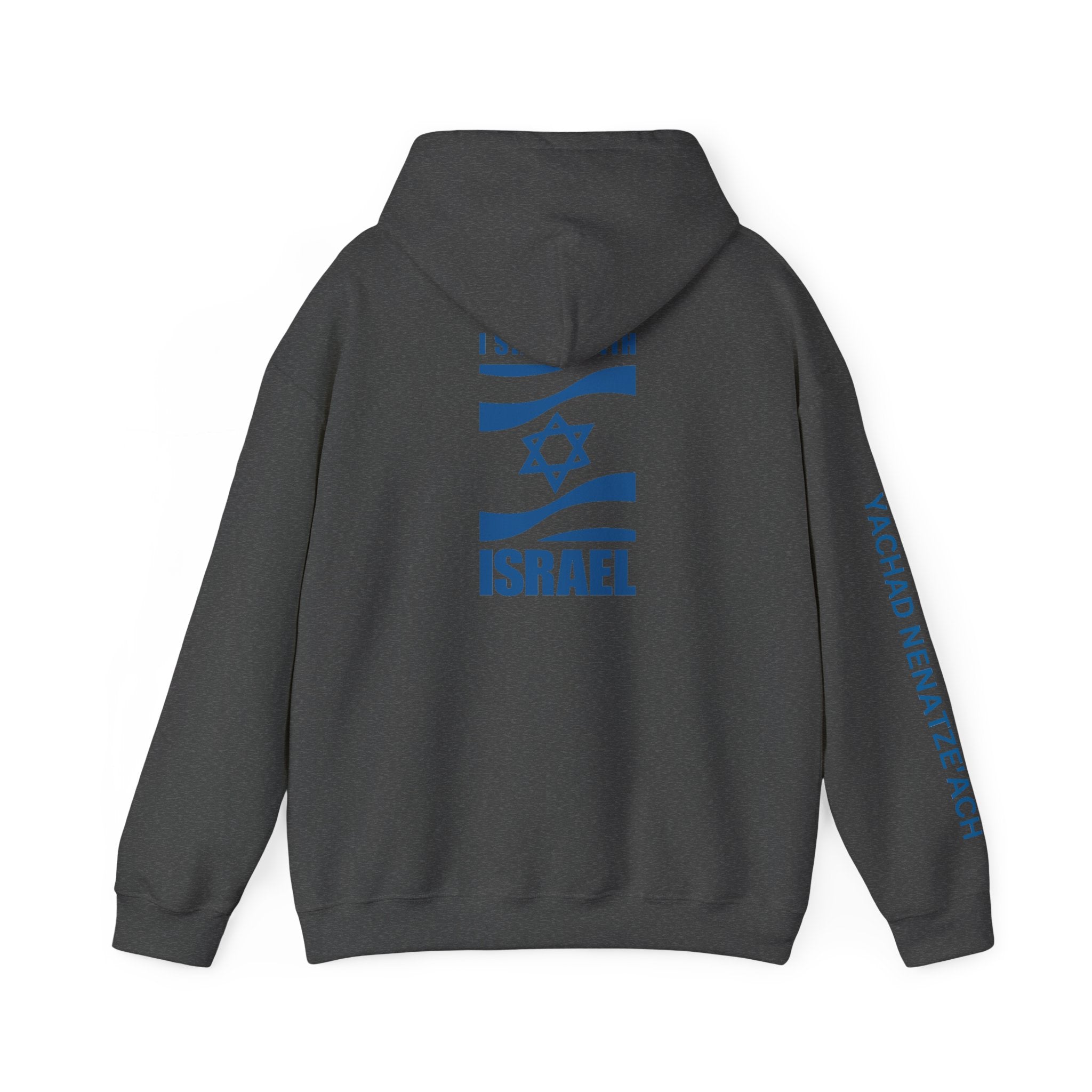 I Stand With Isreal ~ Rebel Spirit Unisex Hoodie