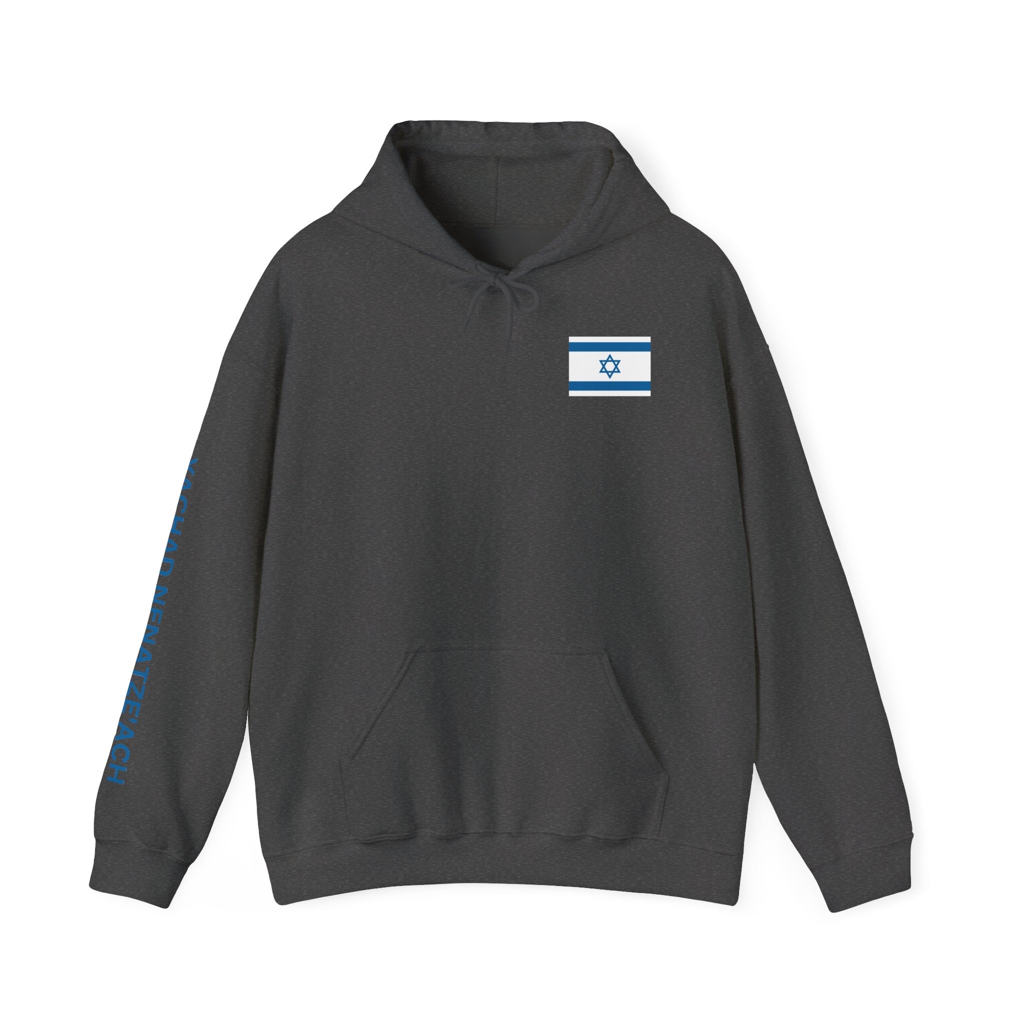 Isreal Flag And Map ~ Rebel Spirit Unisex Hoodie