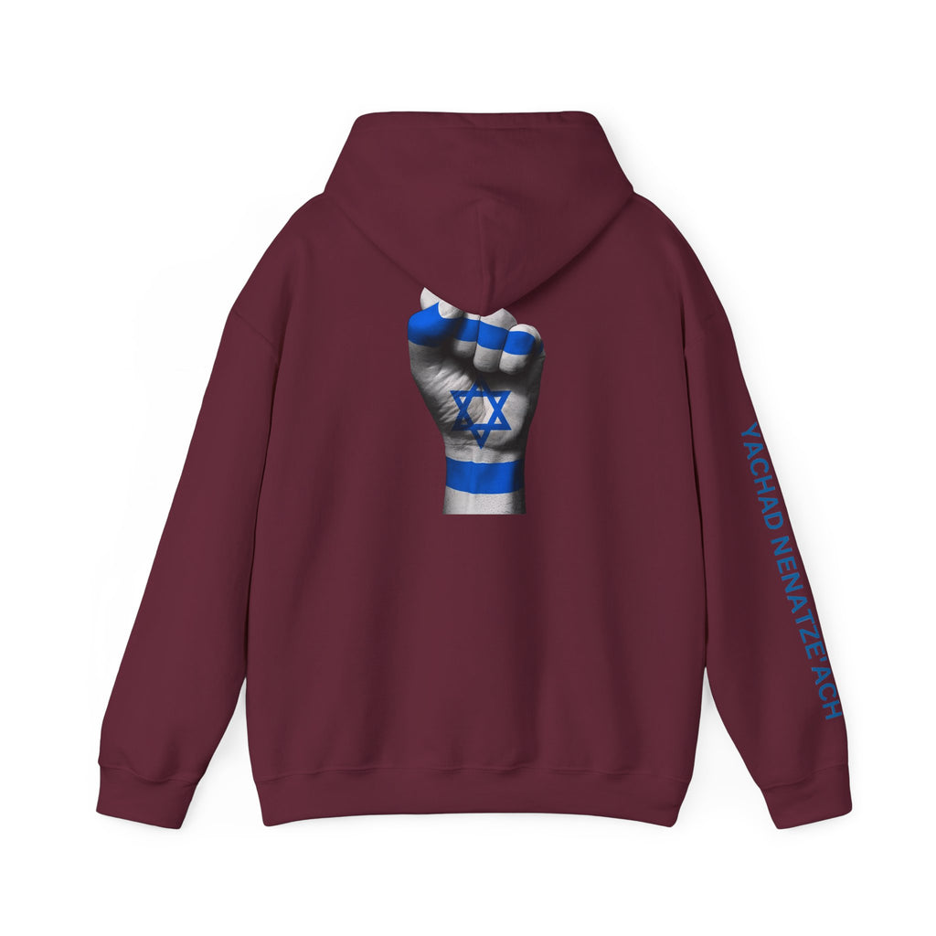 Stand With Isreal ~ Rebel Spirit Unisex Hoodie