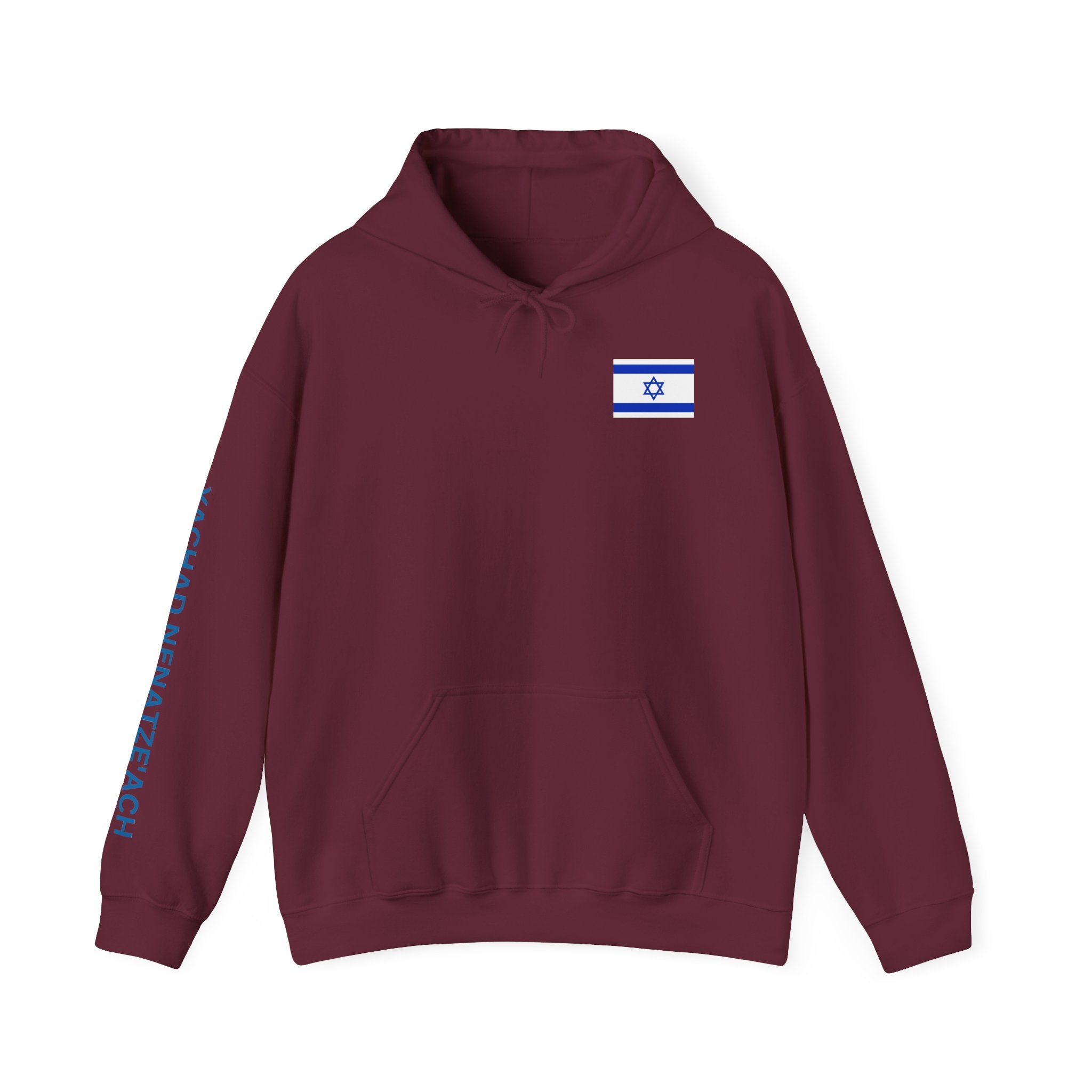 Stand With Isreal ~ Rebel Spirit Unisex Hoodie