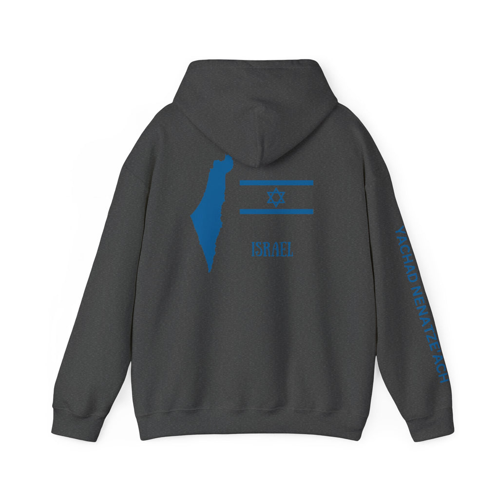 Isreal Flag And Map ~ Rebel Spirit Unisex Hoodie