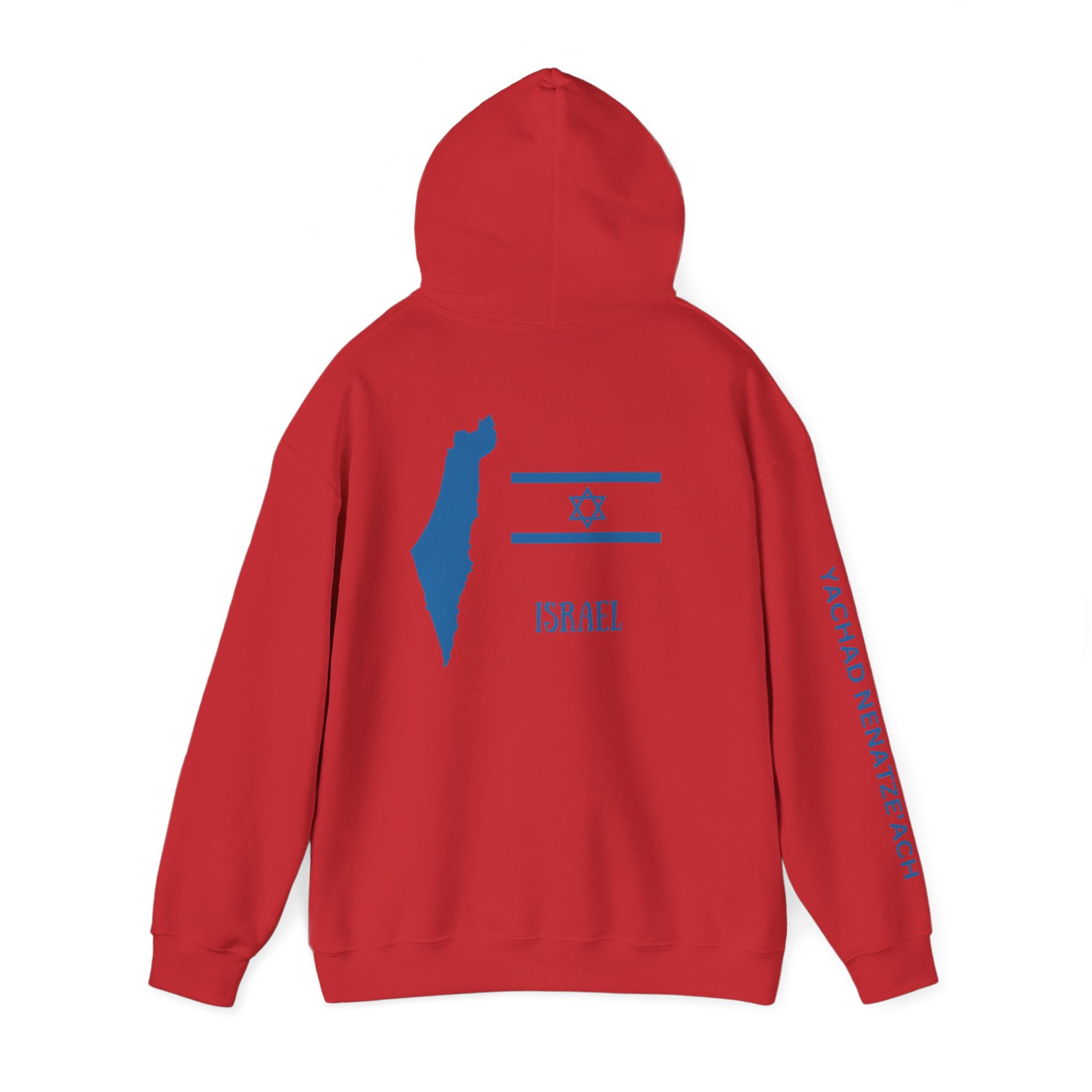Isreal Flag And Map ~ Rebel Spirit Unisex Hoodie