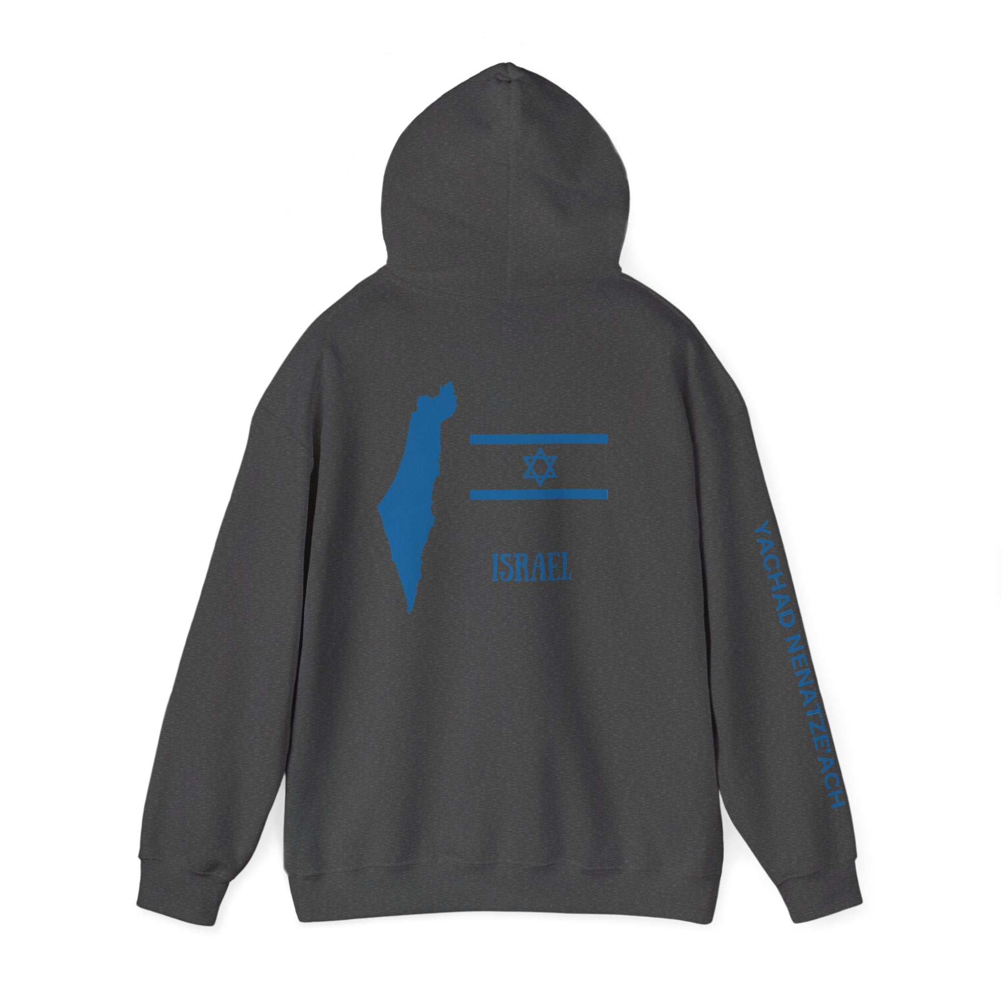 Isreal Flag And Map ~ Rebel Spirit Unisex Hoodie