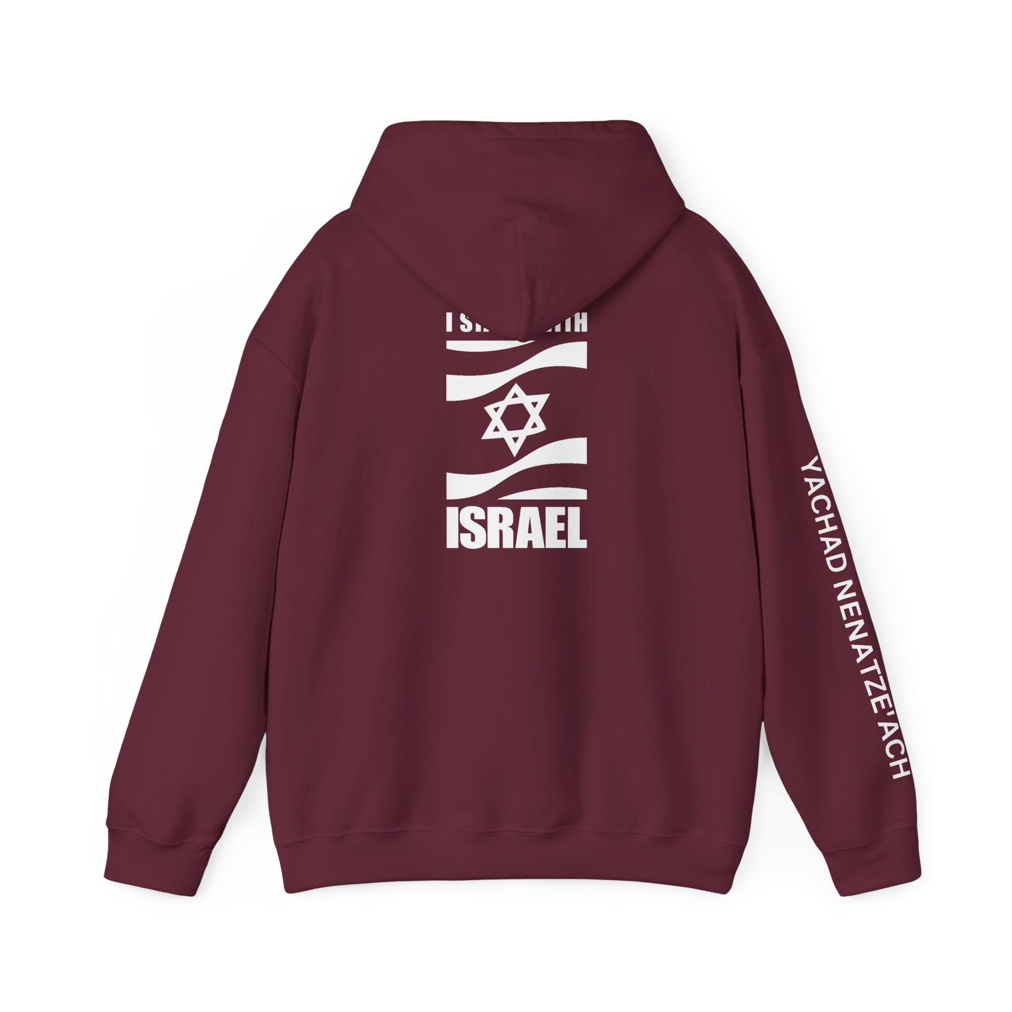 I Stand With Isreal ~ Rebel Spirit Unisex Hoodie