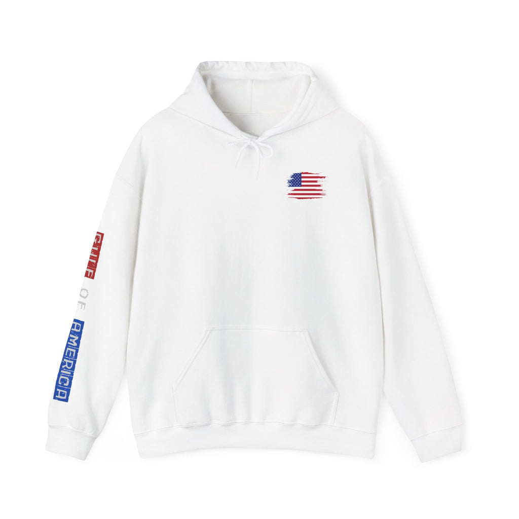 Gulf Of America Patriotic Hoodie, USA Patriotism Sweatshirt, American Flag Pullover, Independence Day Apparel, Fourth of July Gift