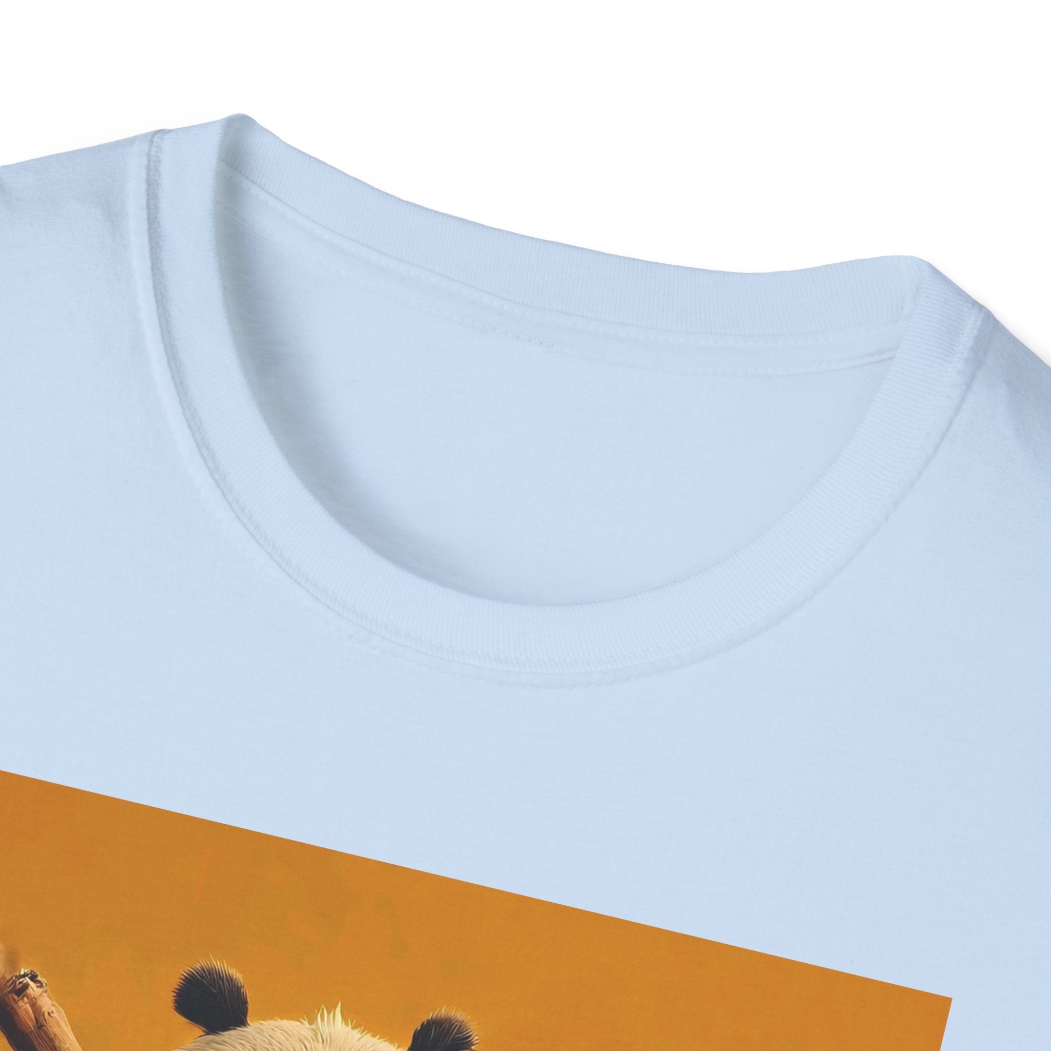 Kung Fu Panda Unisex Softstyle T-Shirt, DreamWorks Animation Youth Competitor Tee, Graphic Tee, Movie Fan Gift, Cult Classic Shirt, Comfy