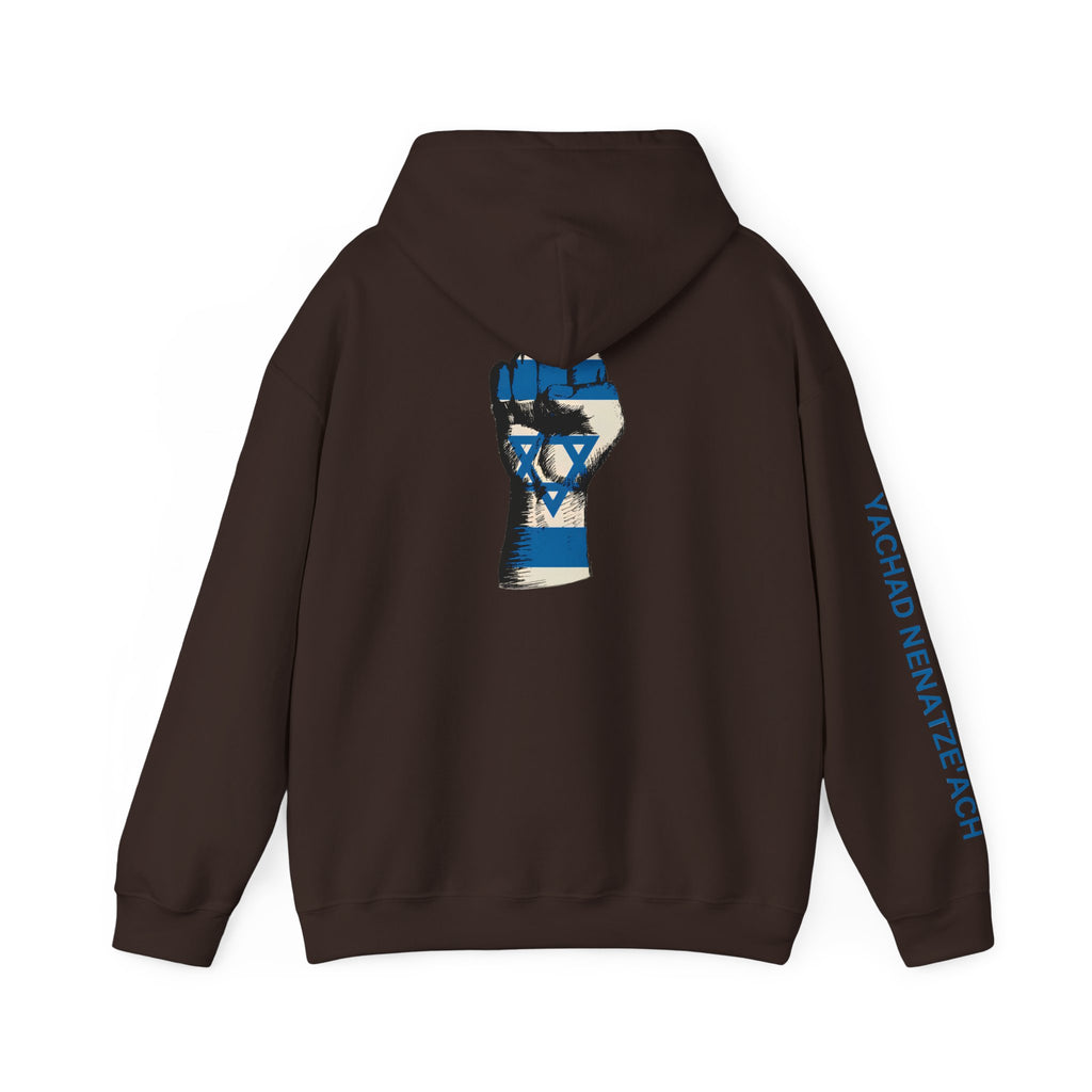 Stand With Isreal ~ Rebel Spirit Unisex Hoodie