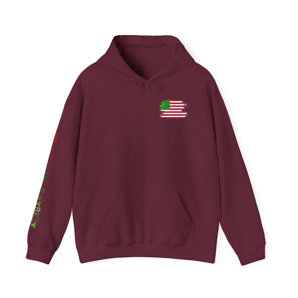Christmas Elf Patriotic USA Hoodie, Sweatshirt, Unisex Hooded Pullover, Holiday Outerwear, Festive Winter Apparel