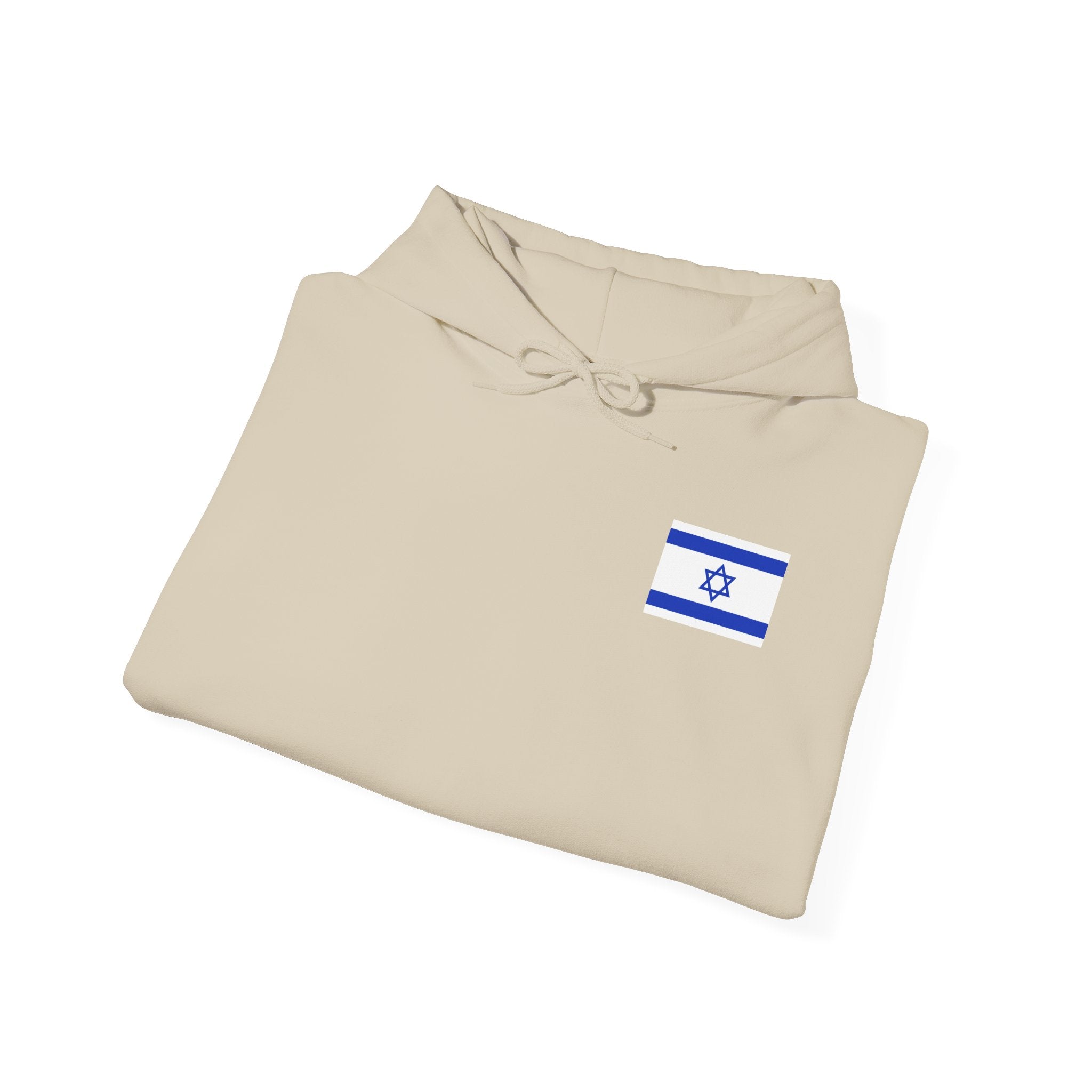 Stand With Isreal ~ Rebel Spirit Unisex Hoodie