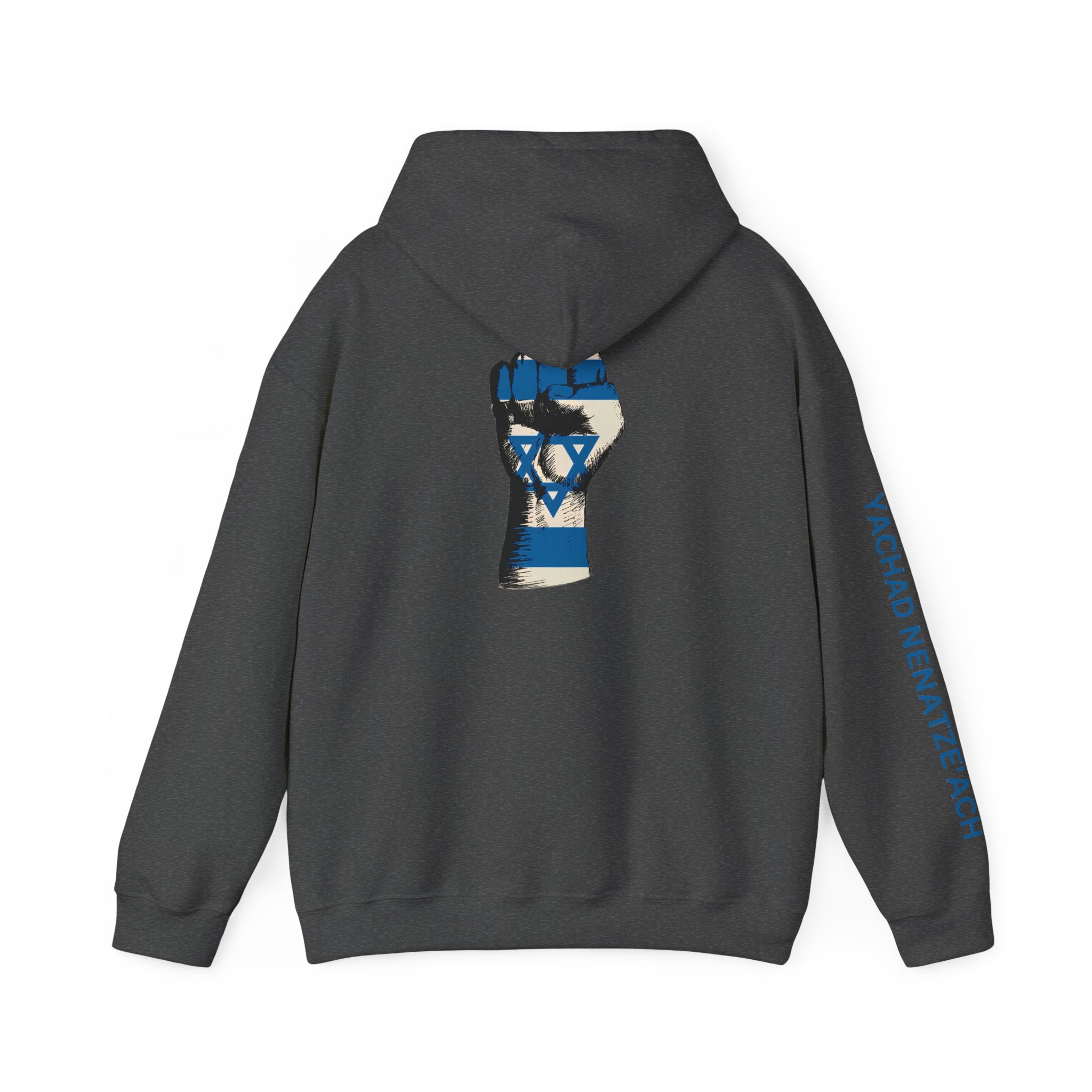 Stand With Isreal ~ Rebel Spirit Unisex Hoodie