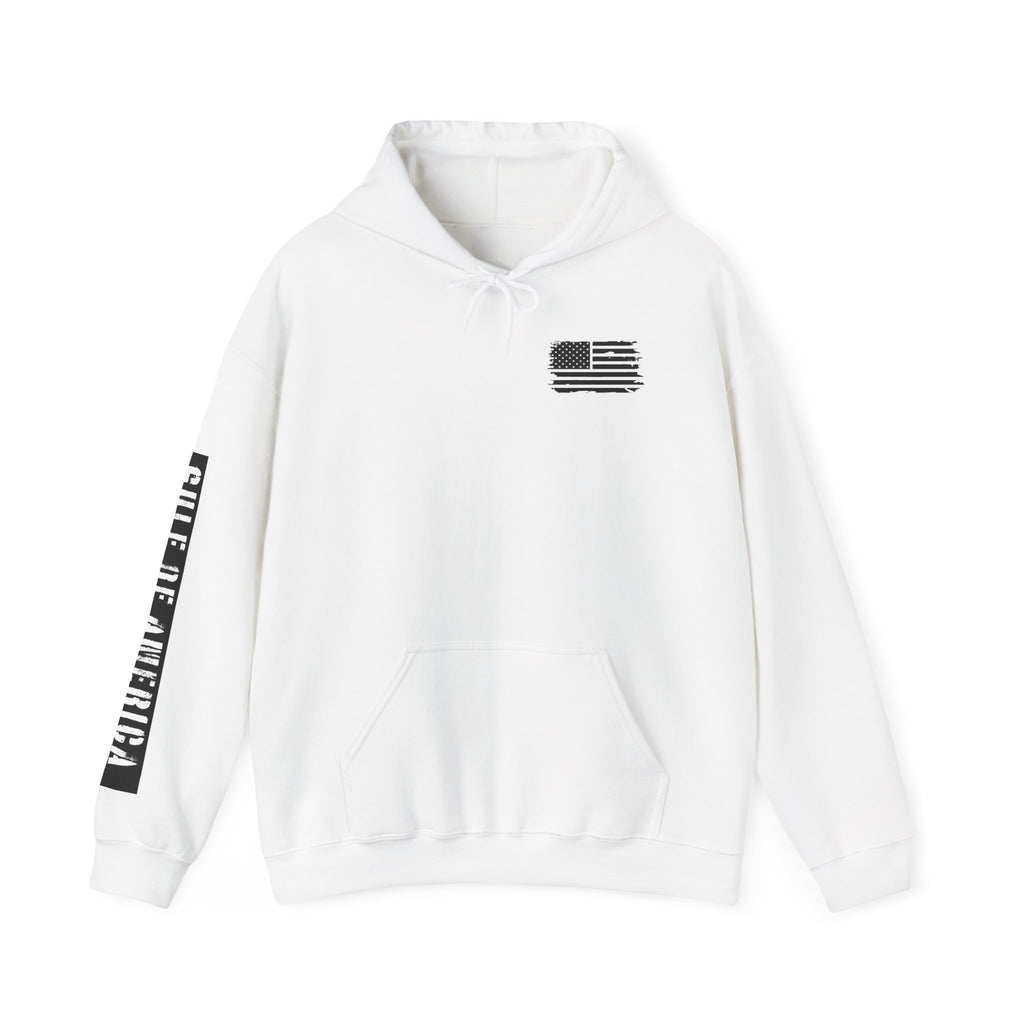 Gulf Of America Patriotic Hoodie, USA Patriotism Sweatshirt, American Flag Pullover, Independence Day Apparel, Fourth of July Gift