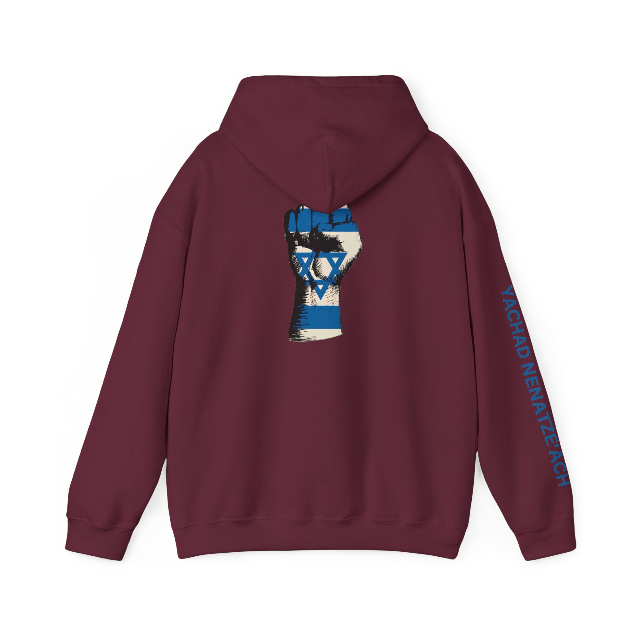 Stand With Isreal ~ Rebel Spirit Unisex Hoodie