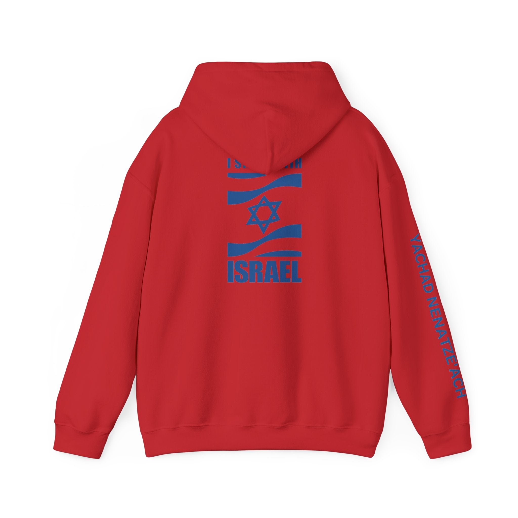 I Stand With Isreal ~ Rebel Spirit Unisex Hoodie