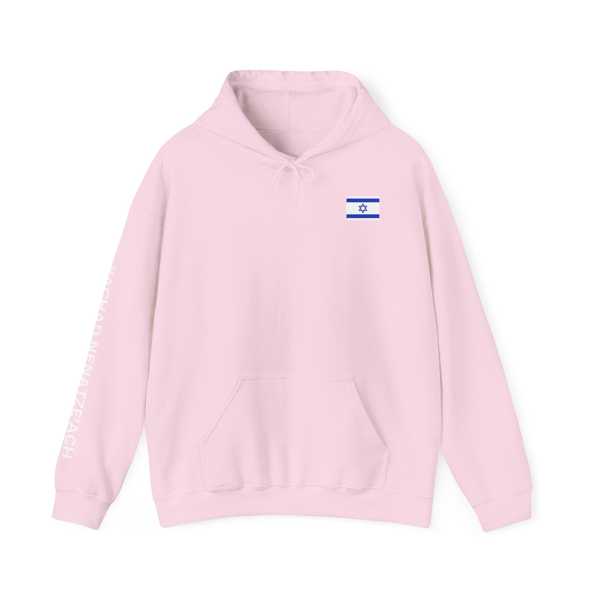 I Stand With Isreal ~ Rebel Spirit Unisex Hoodie