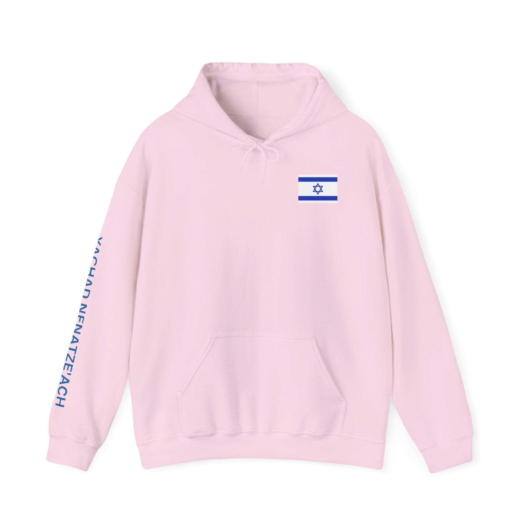 Stand With Isreal ~ Rebel Spirit Unisex Hoodie
