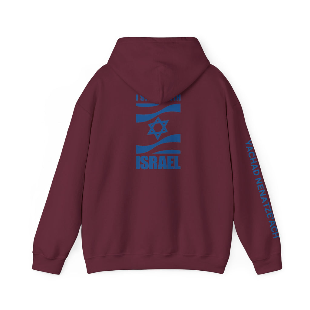 I Stand With Isreal ~ Rebel Spirit Unisex Hoodie