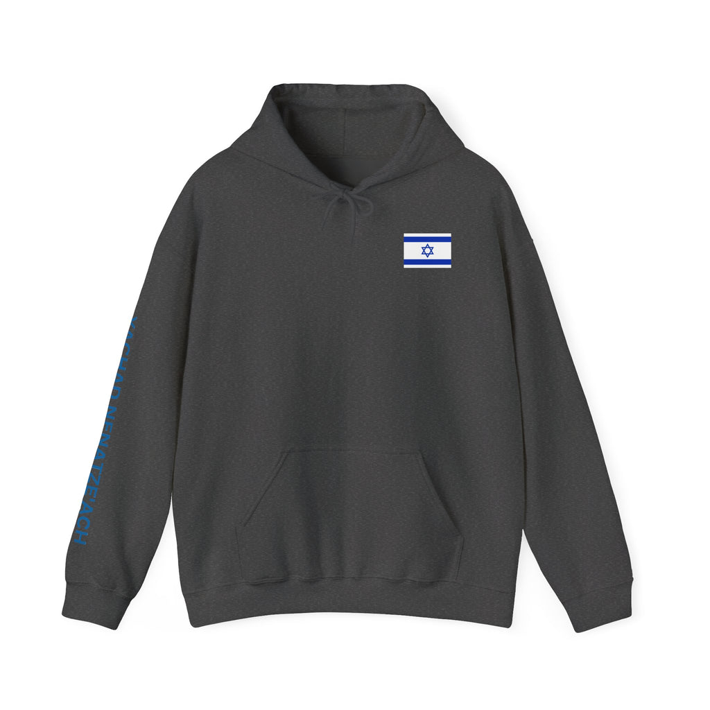 I Stand With Isreal ~ Rebel Spirit Unisex Hoodie