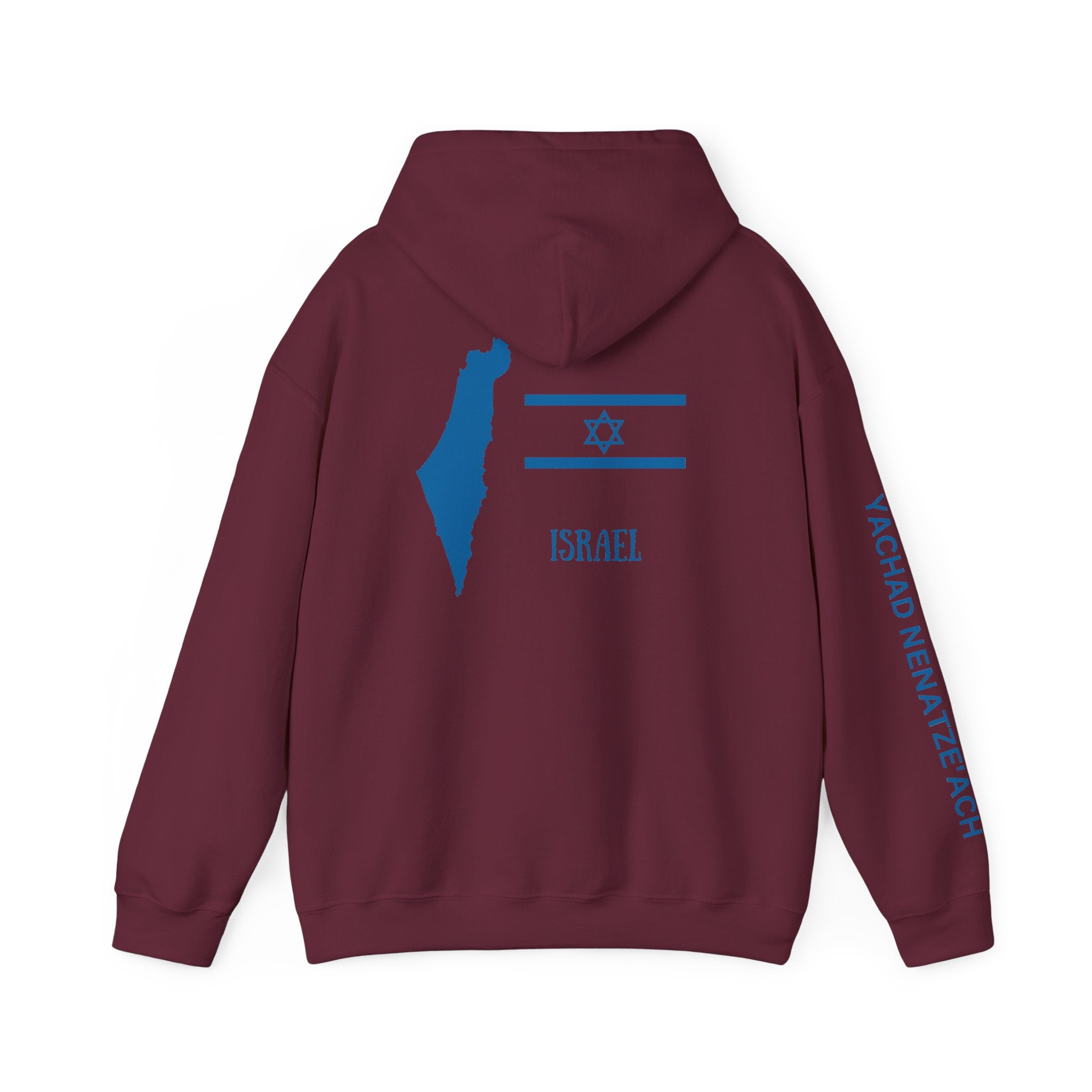 Isreal Flag And Map ~ Rebel Spirit Unisex Hoodie