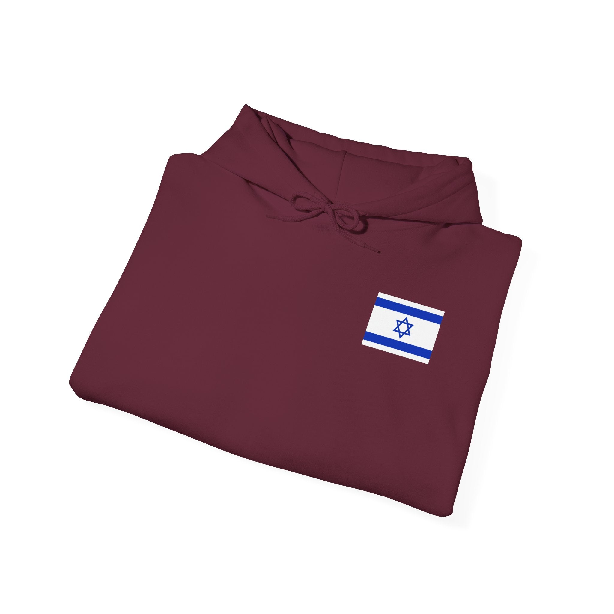 Stand With Isreal ~ Rebel Spirit Unisex Hoodie