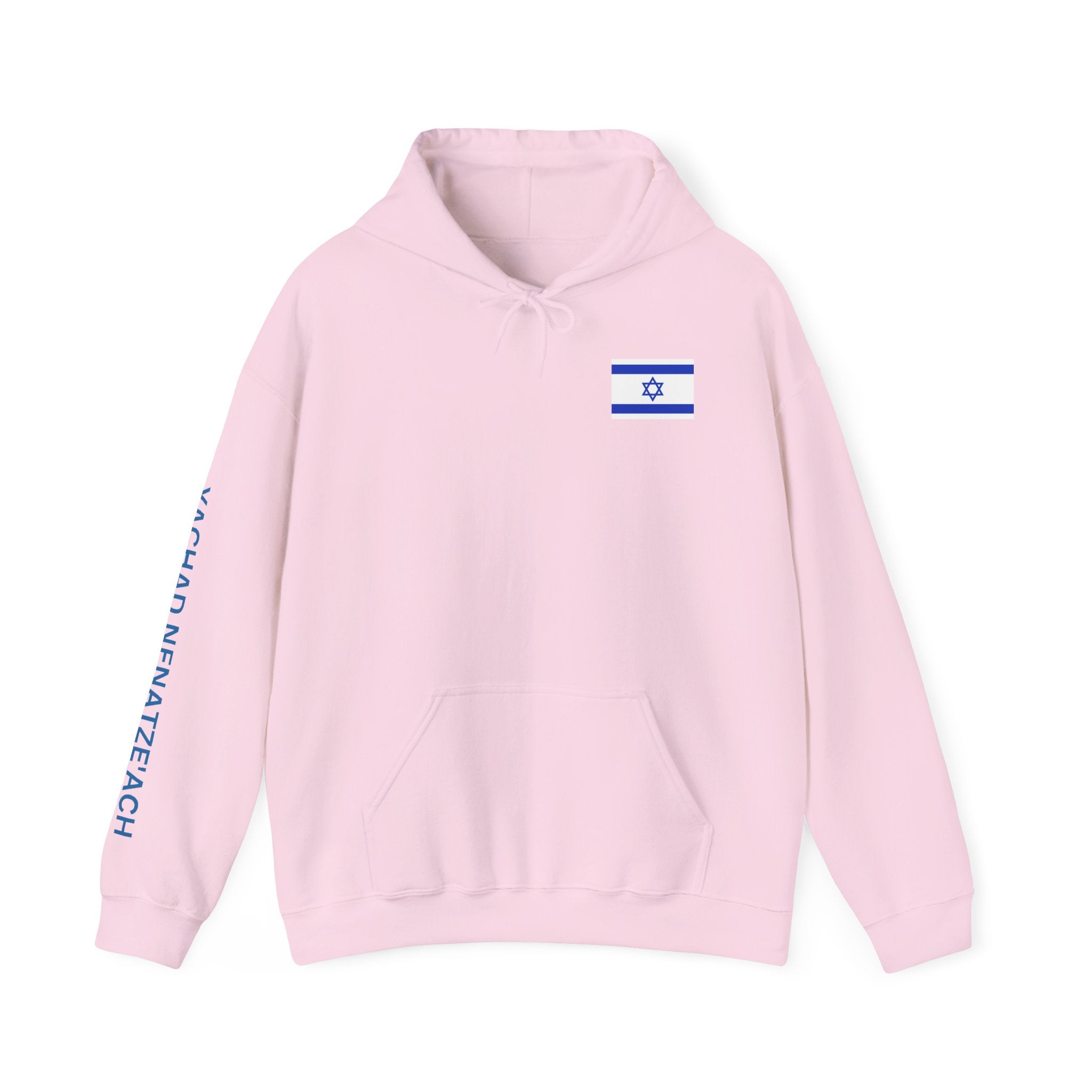 Stand With Isreal ~ Rebel Spirit Unisex Hoodie