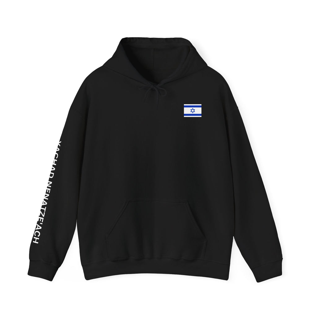 I Stand With Isreal ~ Rebel Spirit Unisex Hoodie