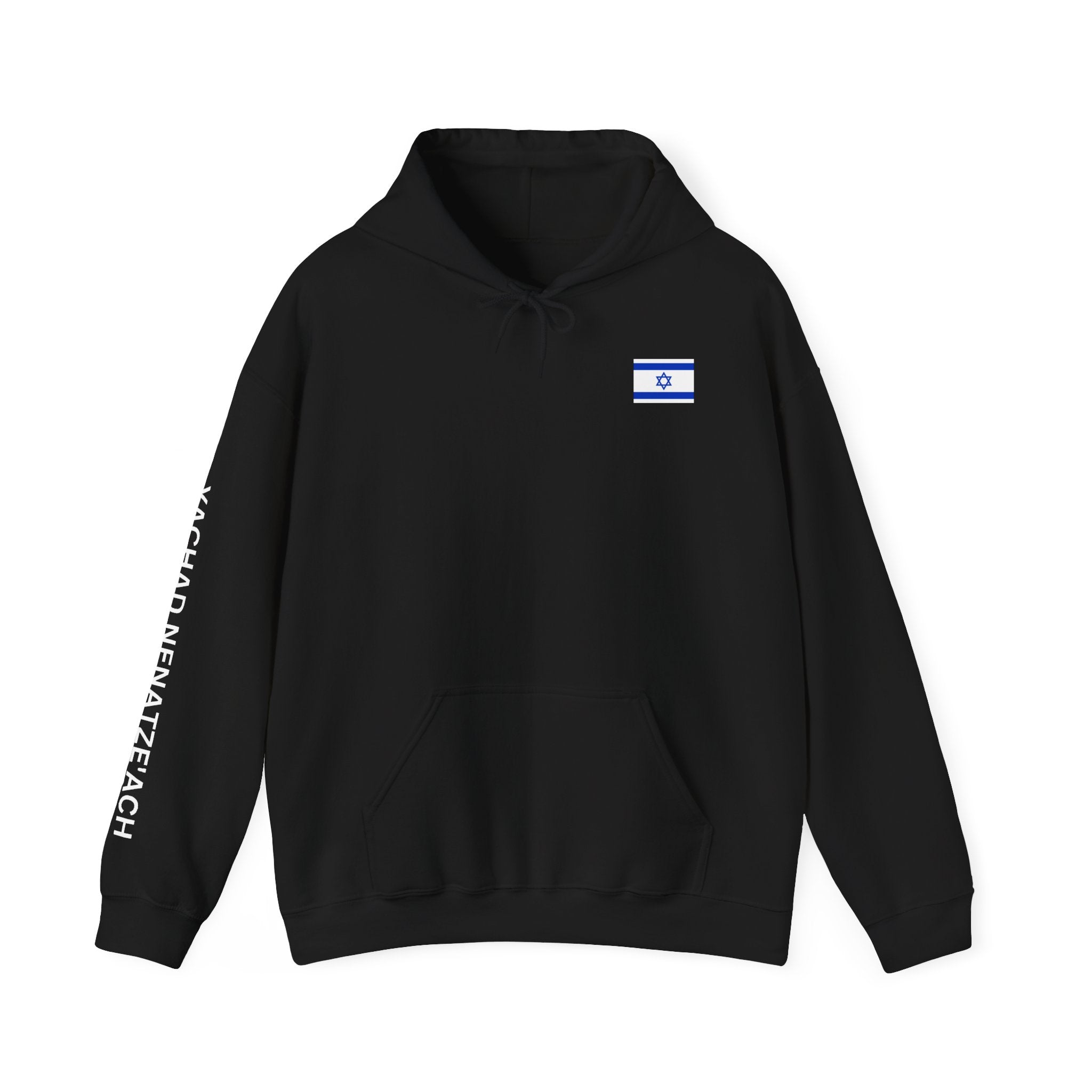 I Stand With Isreal ~ Rebel Spirit Unisex Hoodie