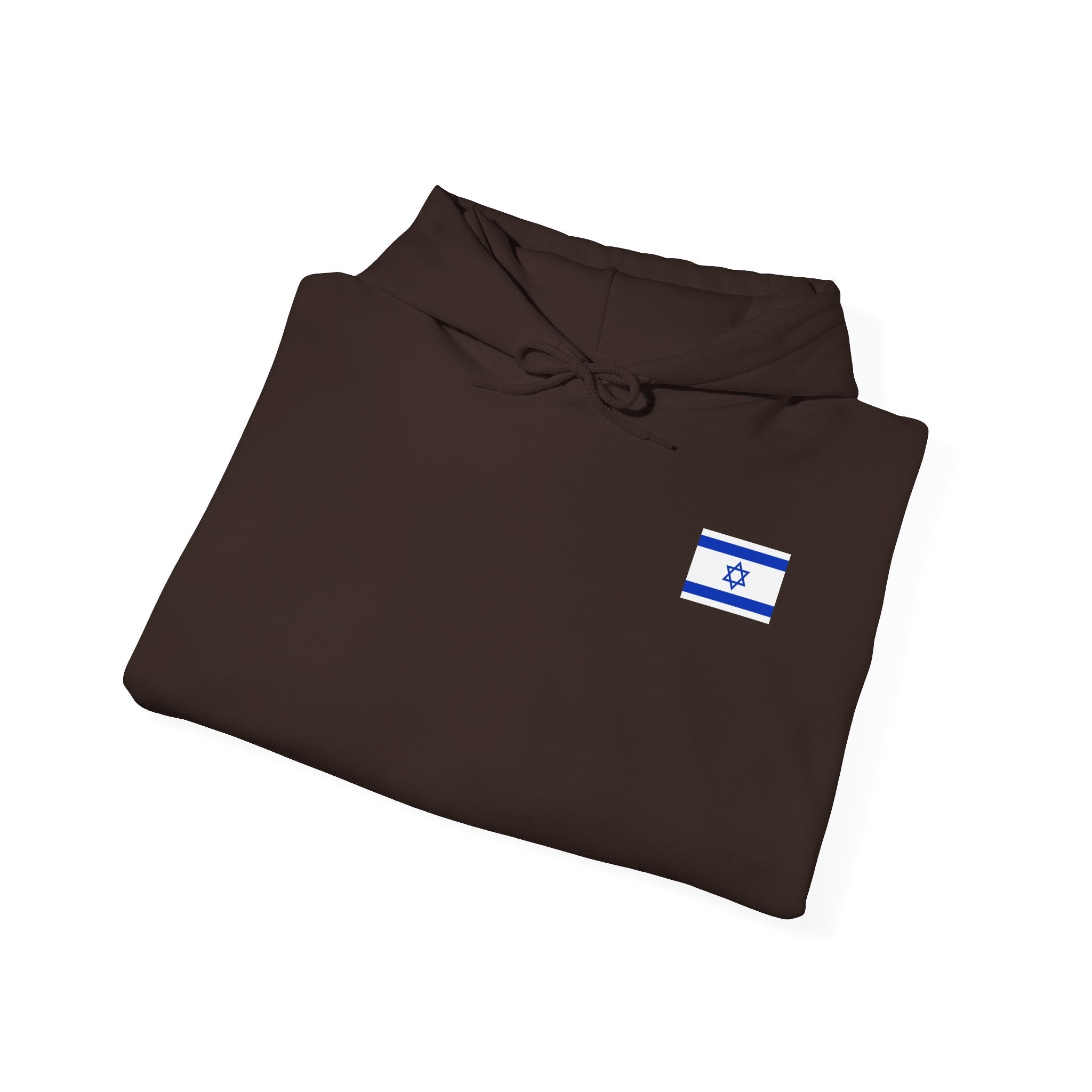 I Stand With Isreal ~ Rebel Spirit Unisex Hoodie