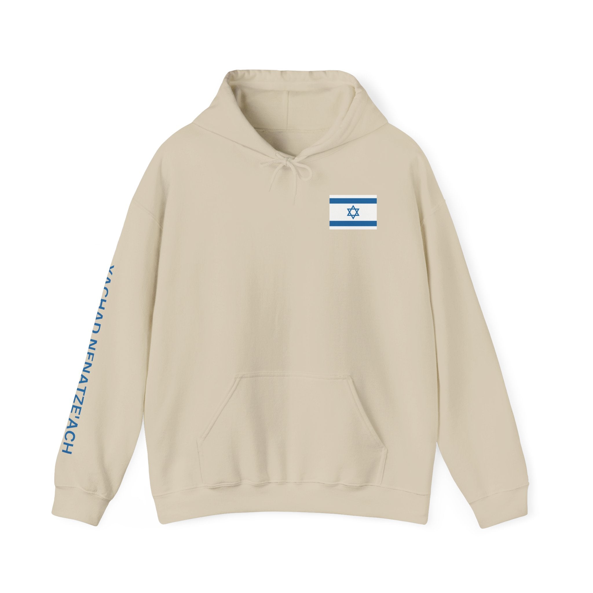 Isreal Flag And Map ~ Rebel Spirit Unisex Hoodie