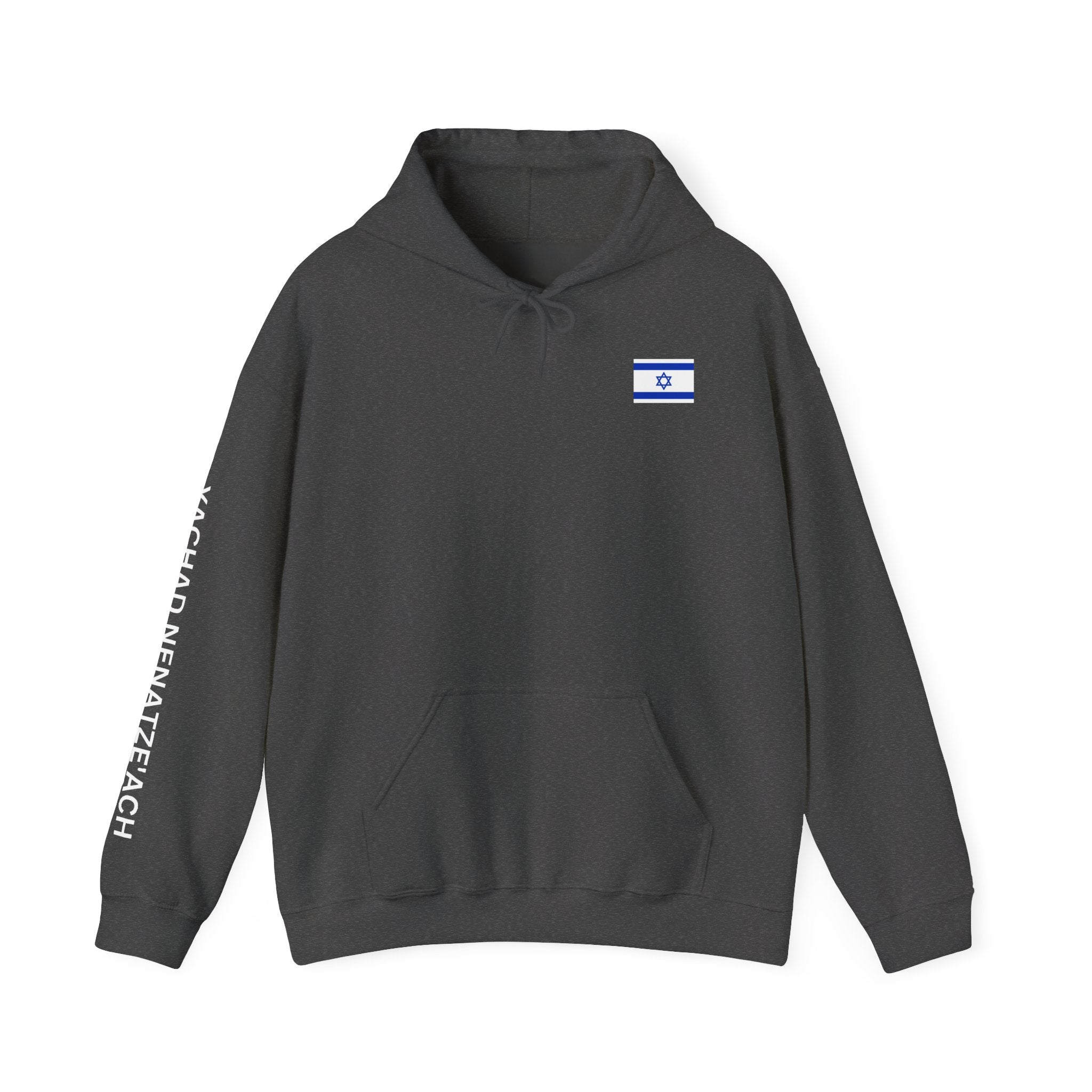 I Stand With Isreal ~ Rebel Spirit Unisex Hoodie