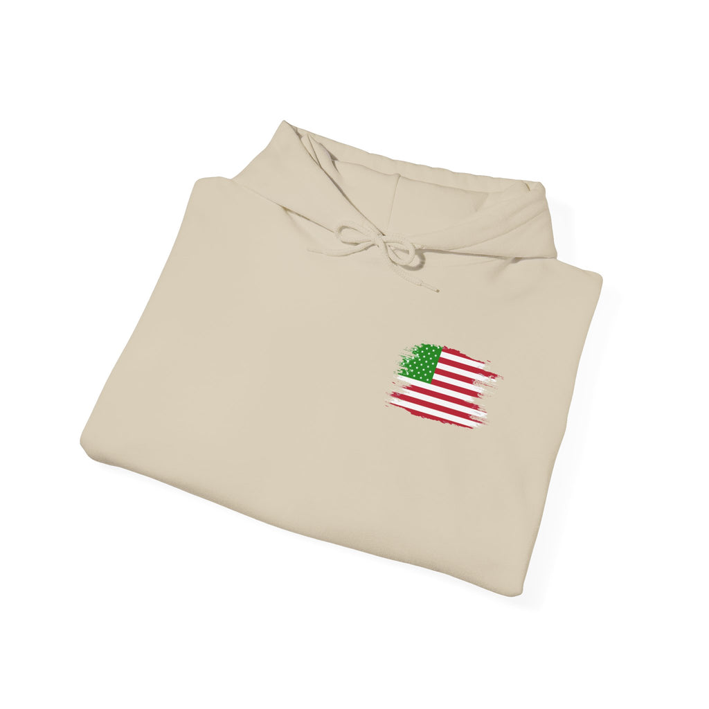 Christmas Elf Patriotic USA Hoodie, Sweatshirt, Unisex Hooded Pullover, Holiday Outerwear, Festive Winter Apparel