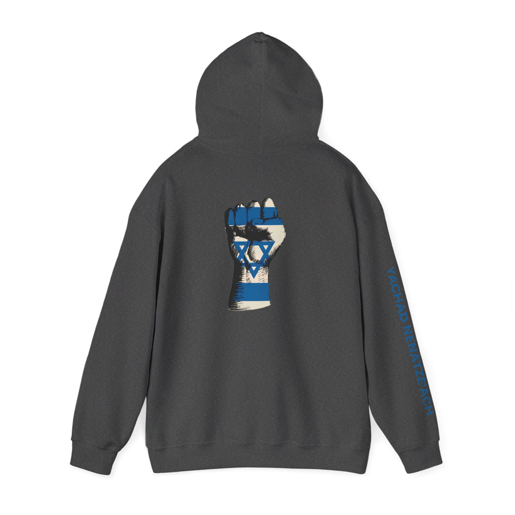 Stand With Isreal ~ Rebel Spirit Unisex Hoodie