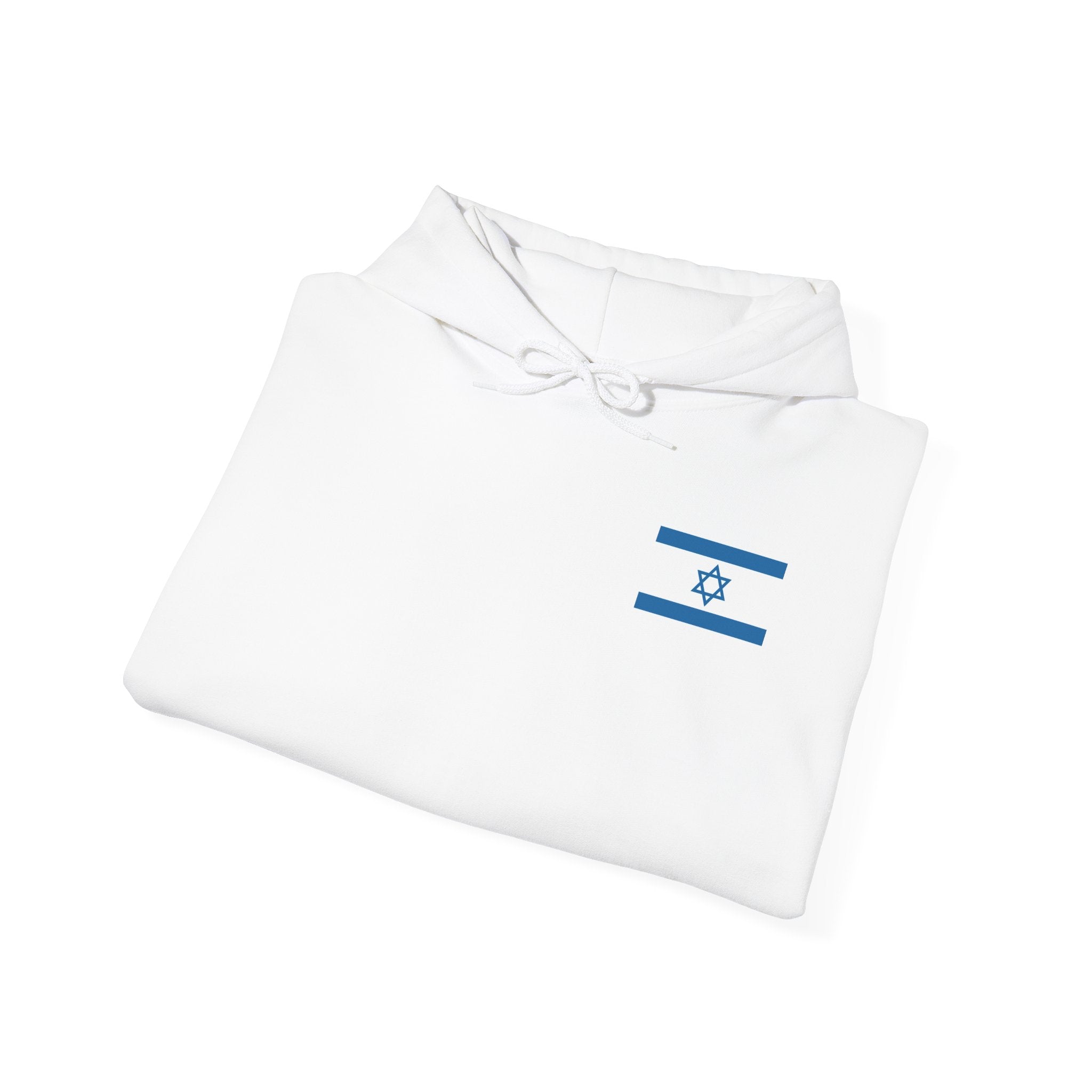 Isreal Flag And Map ~ Rebel Spirit Unisex Hoodie