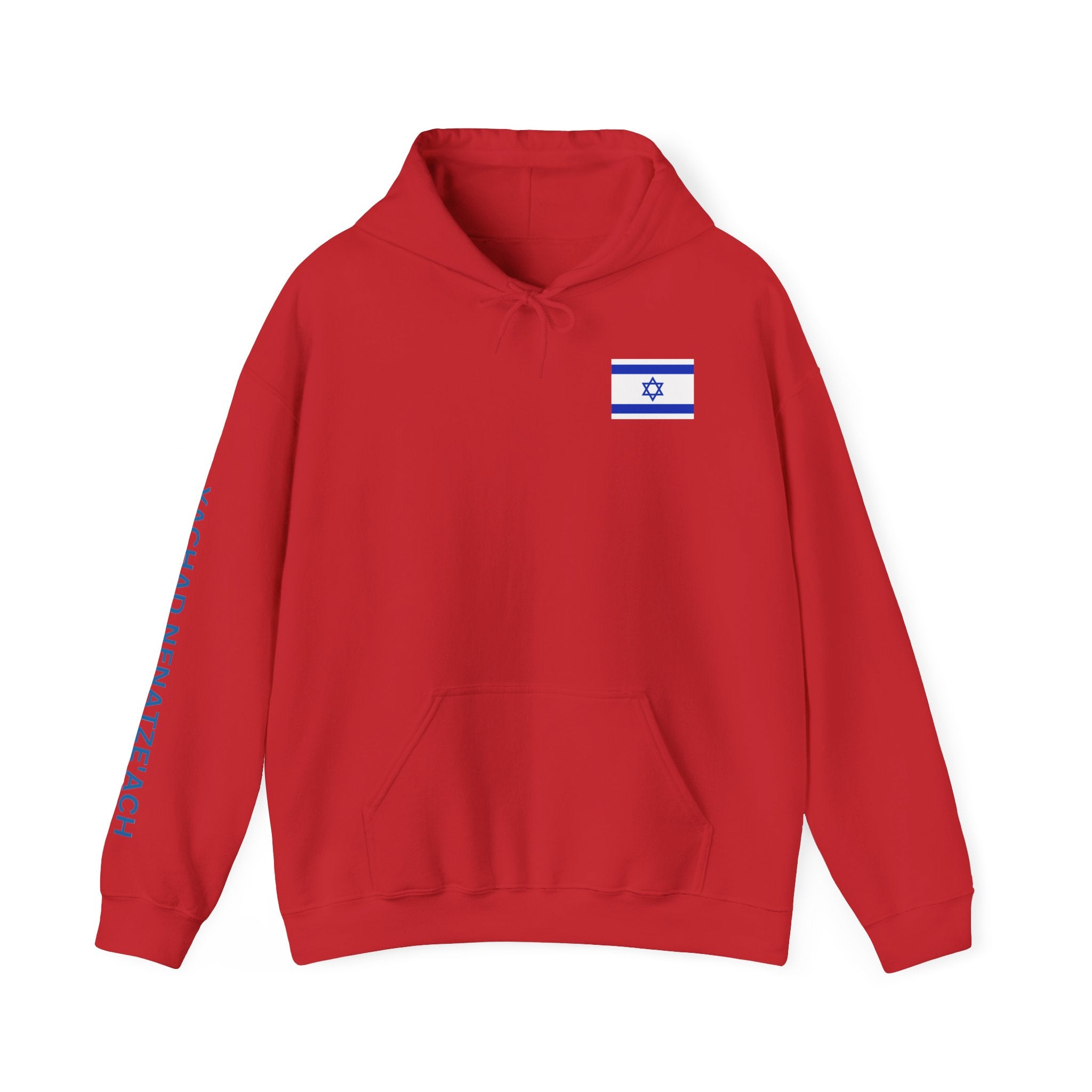 Stand With Isreal ~ Rebel Spirit Unisex Hoodie