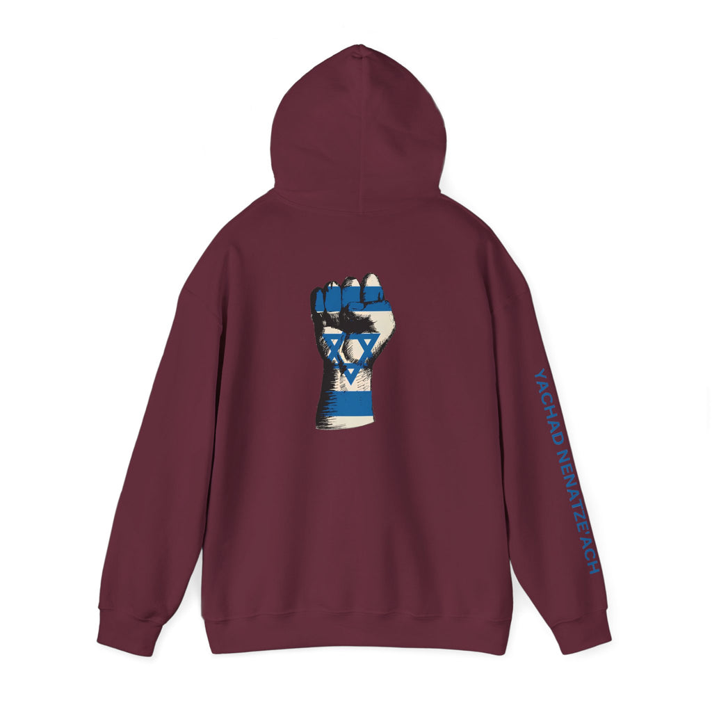 Stand With Isreal ~ Rebel Spirit Unisex Hoodie