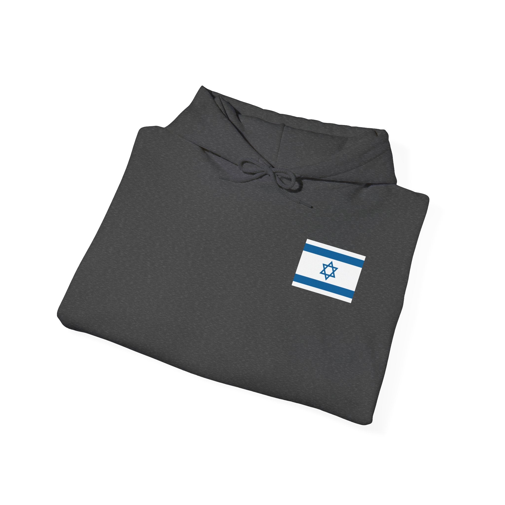 Isreal Flag And Map ~ Rebel Spirit Unisex Hoodie