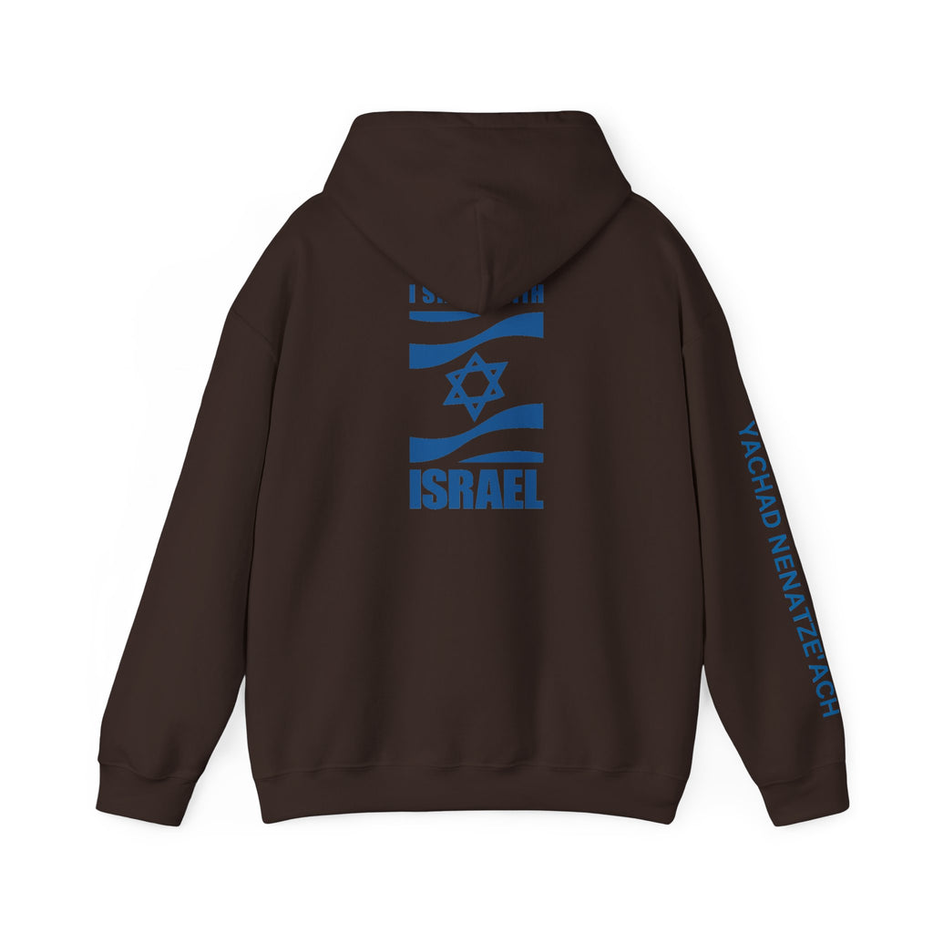 I Stand With Isreal ~ Rebel Spirit Unisex Hoodie