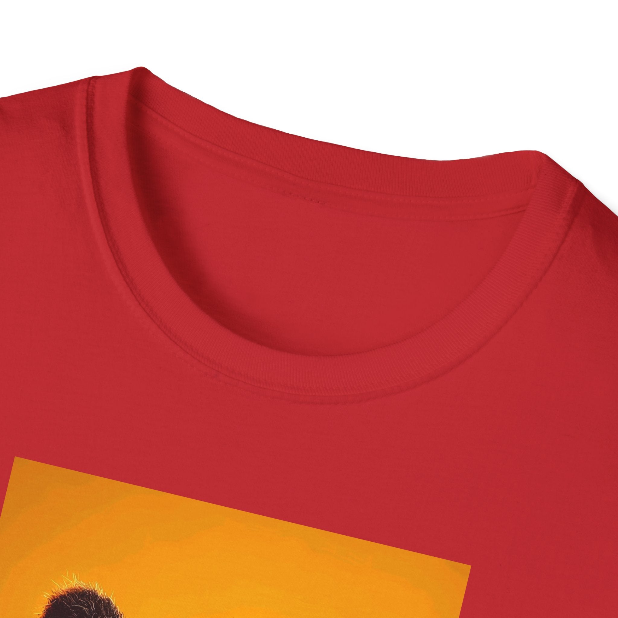 Kung Fu Panda Unisex Softstyle T-Shirt, DreamWorks Animation Youth Competitor Tee, Graphic Tee, Movie Fan Gift, Cult Classic Shirt, Comfy