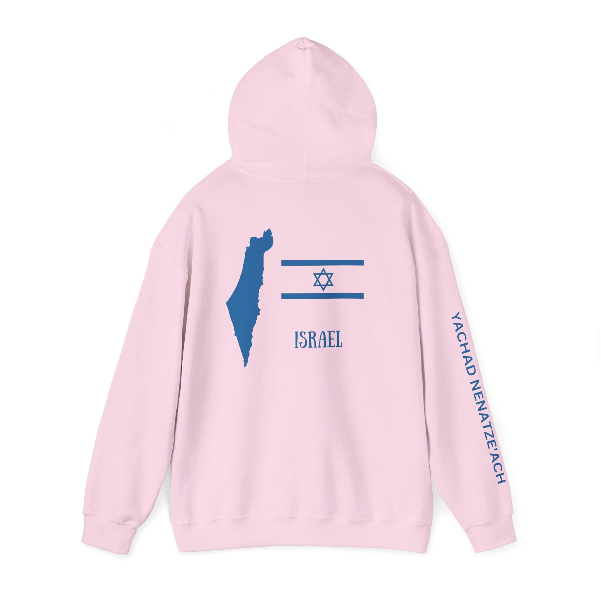 Isreal Flag And Map ~ Rebel Spirit Unisex Hoodie