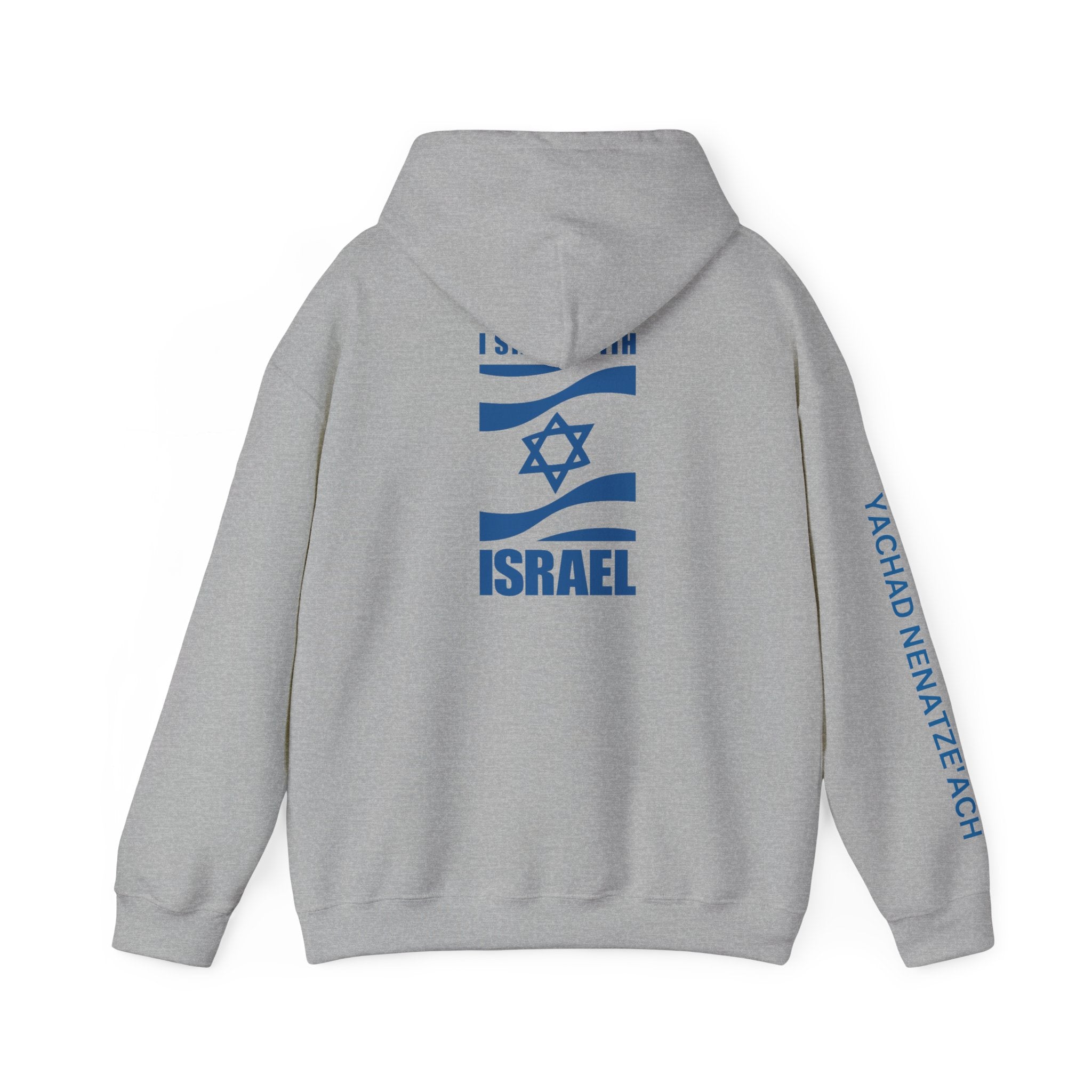 I Stand With Isreal ~ Rebel Spirit Unisex Hoodie