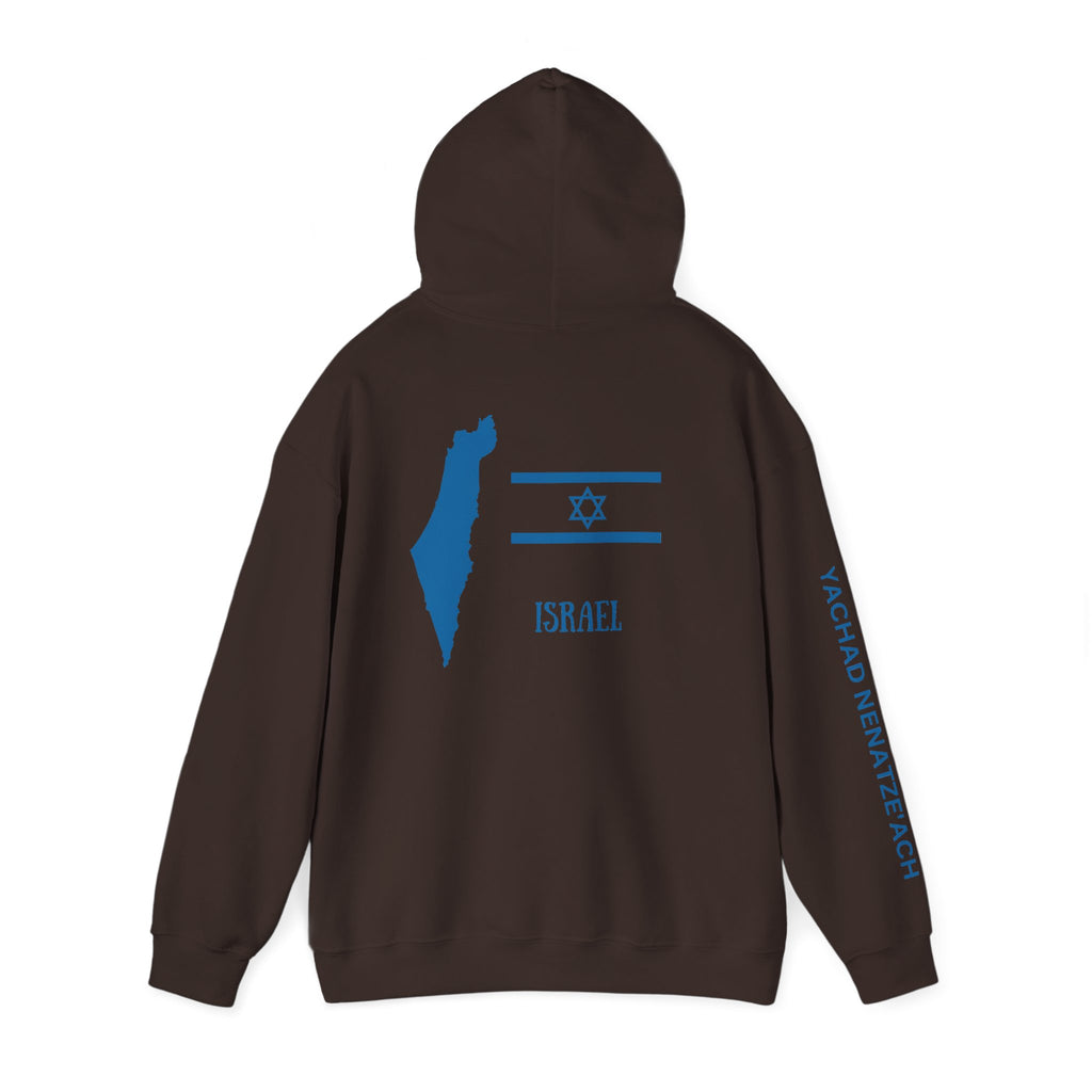 Isreal Flag And Map ~ Rebel Spirit Unisex Hoodie