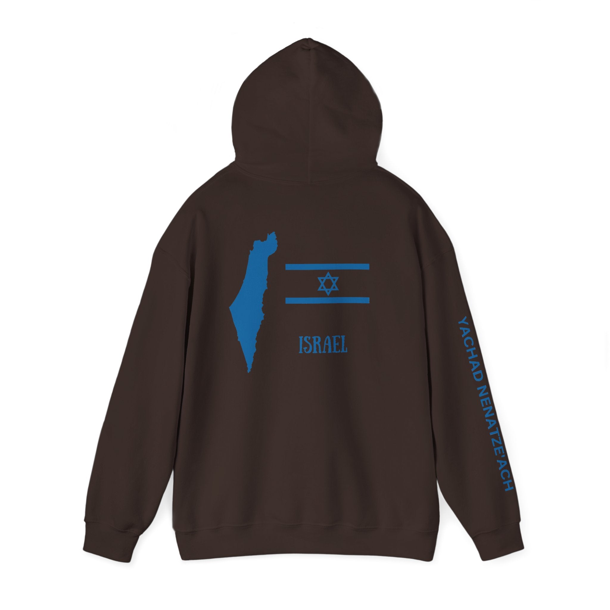 Isreal Flag And Map ~ Rebel Spirit Unisex Hoodie